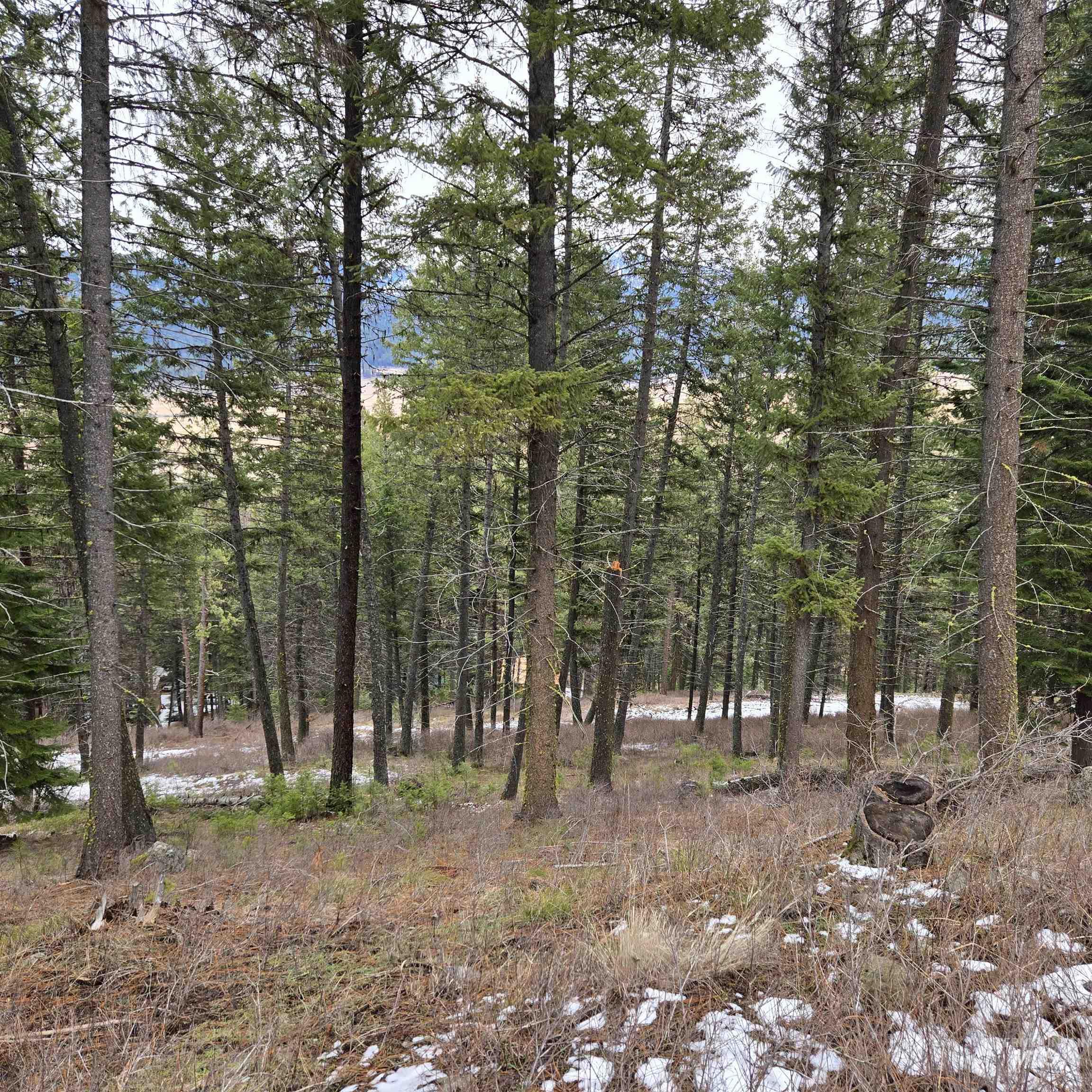 TBD Granite View Rd, New Meadows, Idaho 83654, Land For Sale, Price $125,000,MLS 98978954