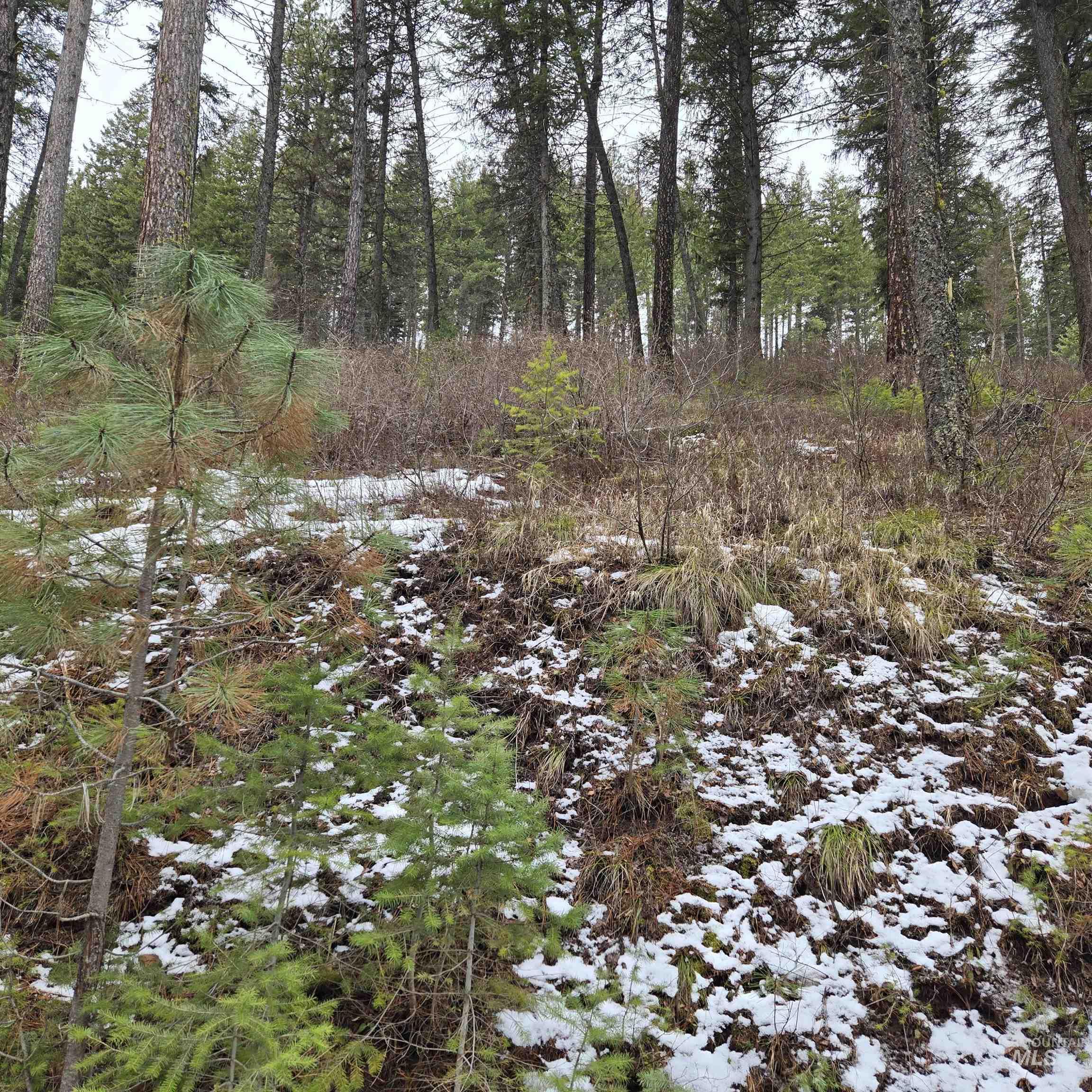 TBD Granite View Rd, New Meadows, Idaho 83654, Land For Sale, Price $125,000,MLS 98978954