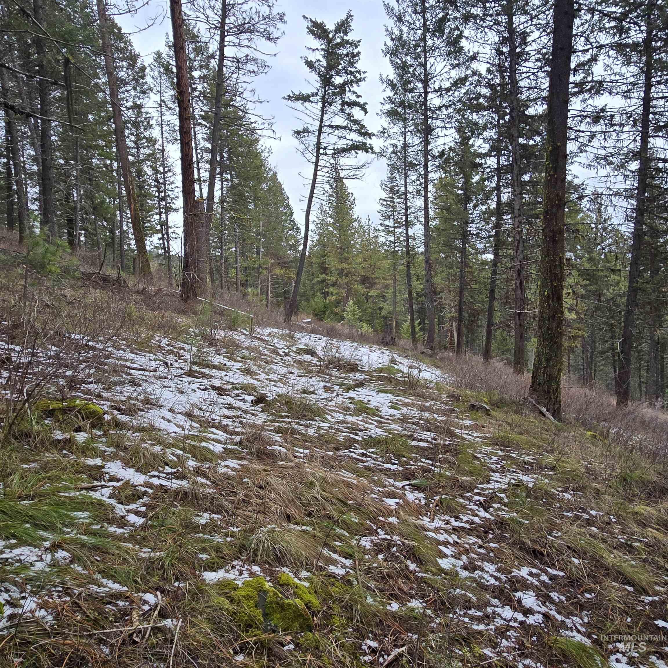 TBD Granite View Rd, New Meadows, Idaho 83654, Land For Sale, Price $125,000,MLS 98978954
