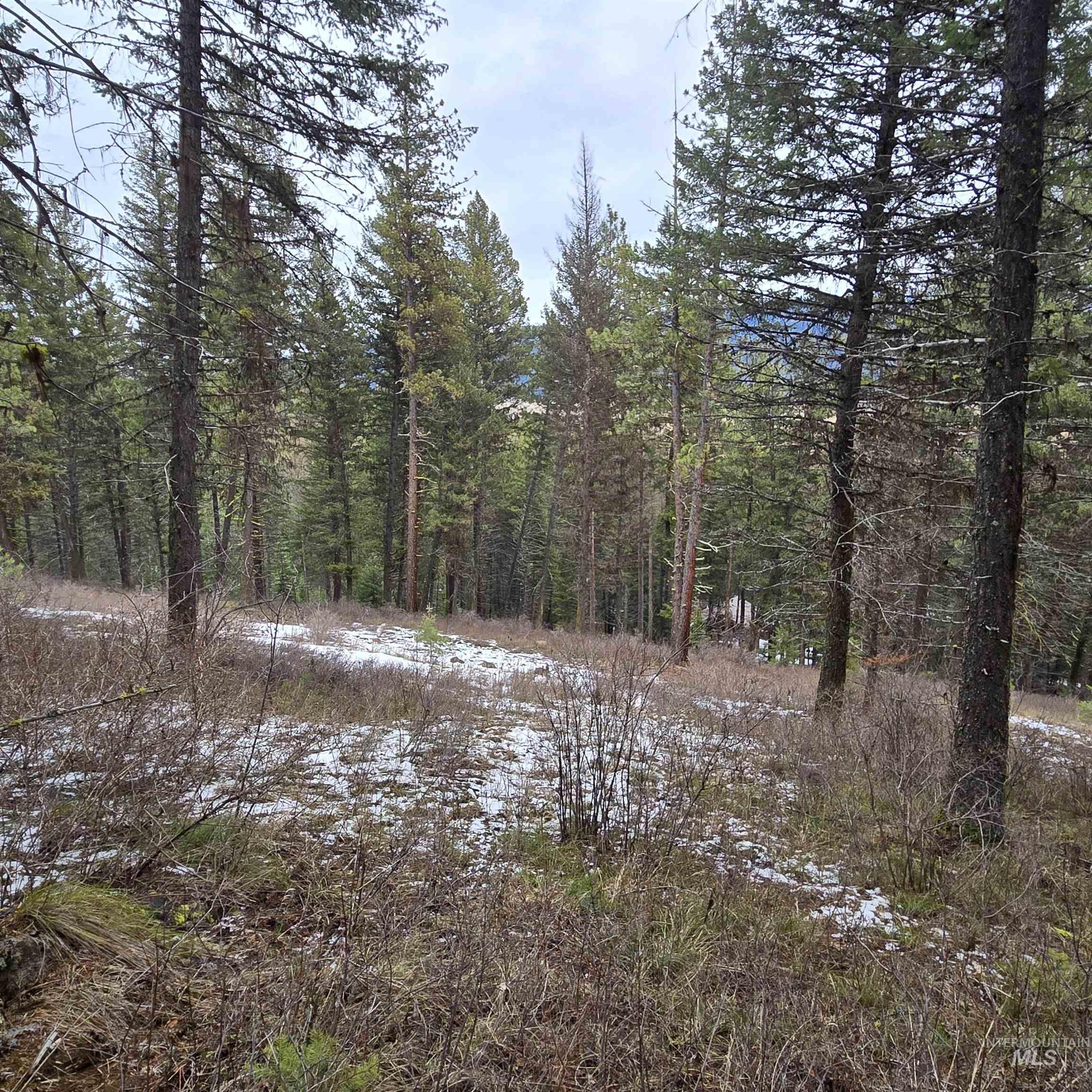 TBD Granite View Rd, New Meadows, Idaho 83654, Land For Sale, Price $125,000,MLS 98978954