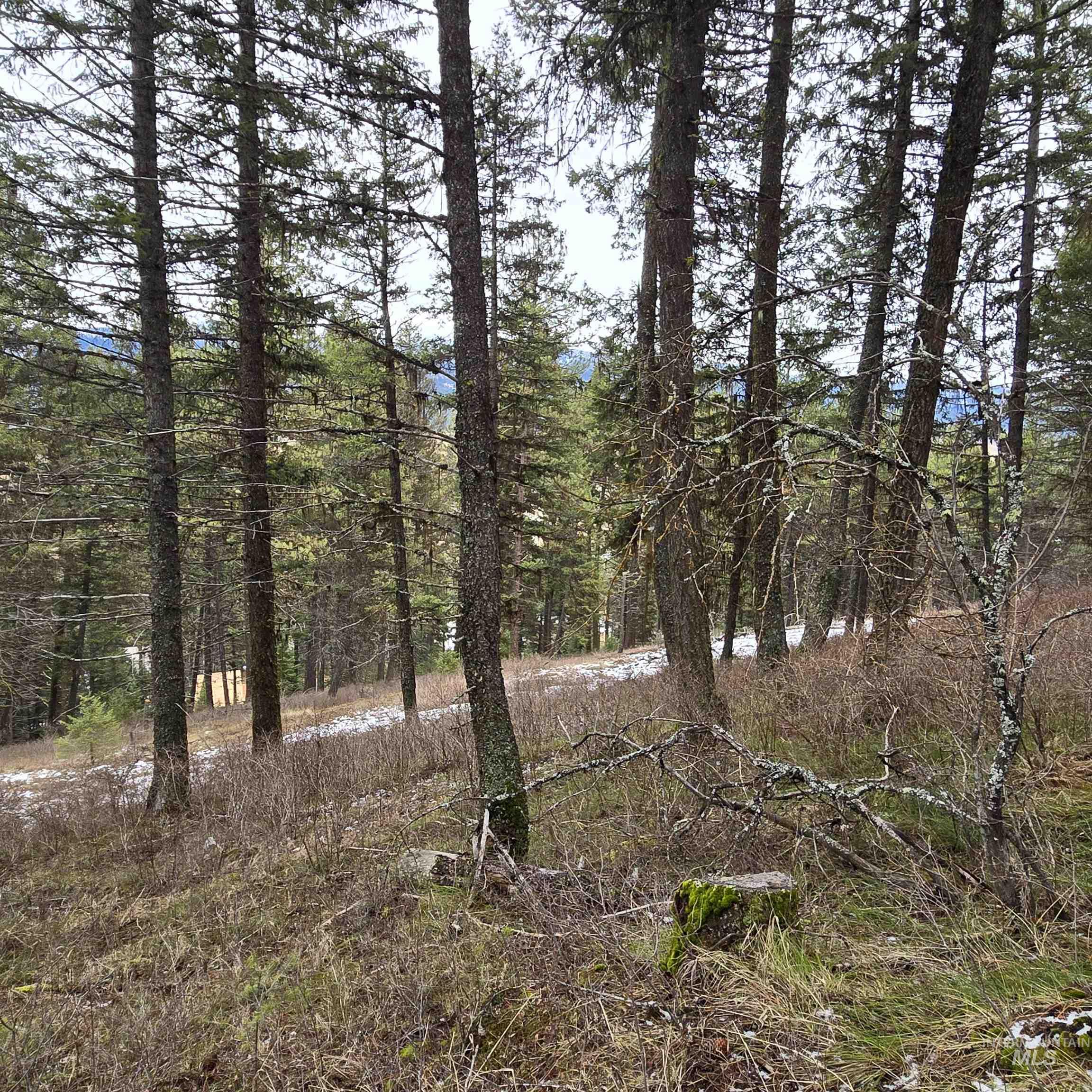 TBD Granite View Rd, New Meadows, Idaho 83654, Land For Sale, Price $125,000,MLS 98978954