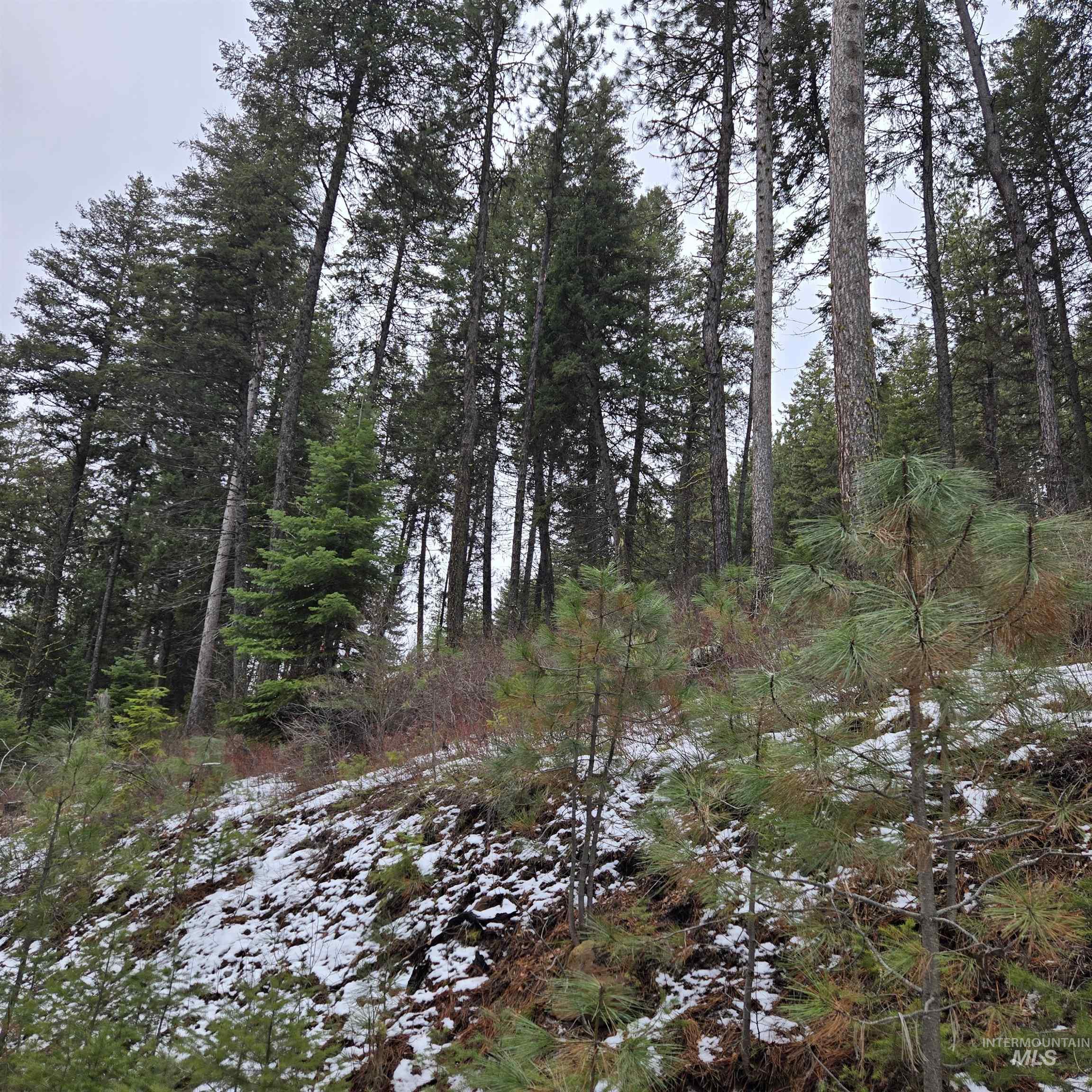 TBD Granite View Rd, New Meadows, Idaho 83654, Land For Sale, Price $125,000,MLS 98978954