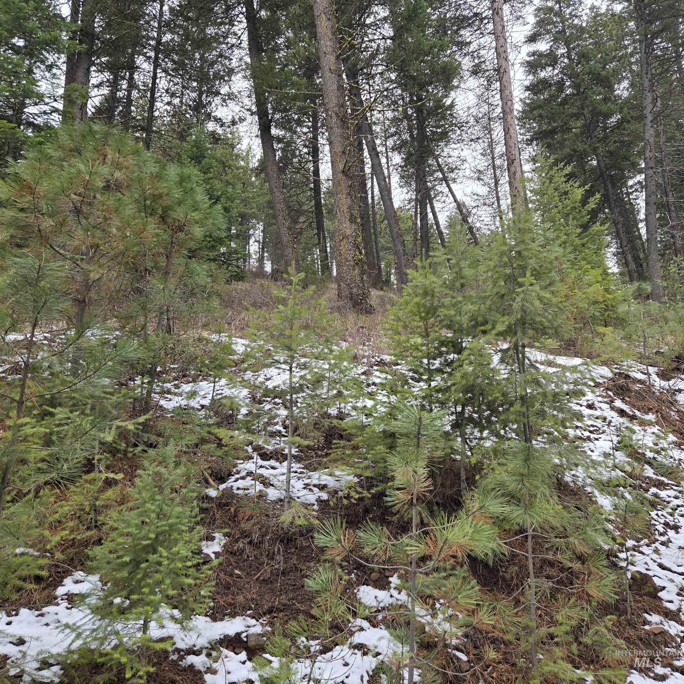 TBD Granite View Rd, New Meadows, Idaho 83654, Land For Sale, Price $125,000,MLS 98978954