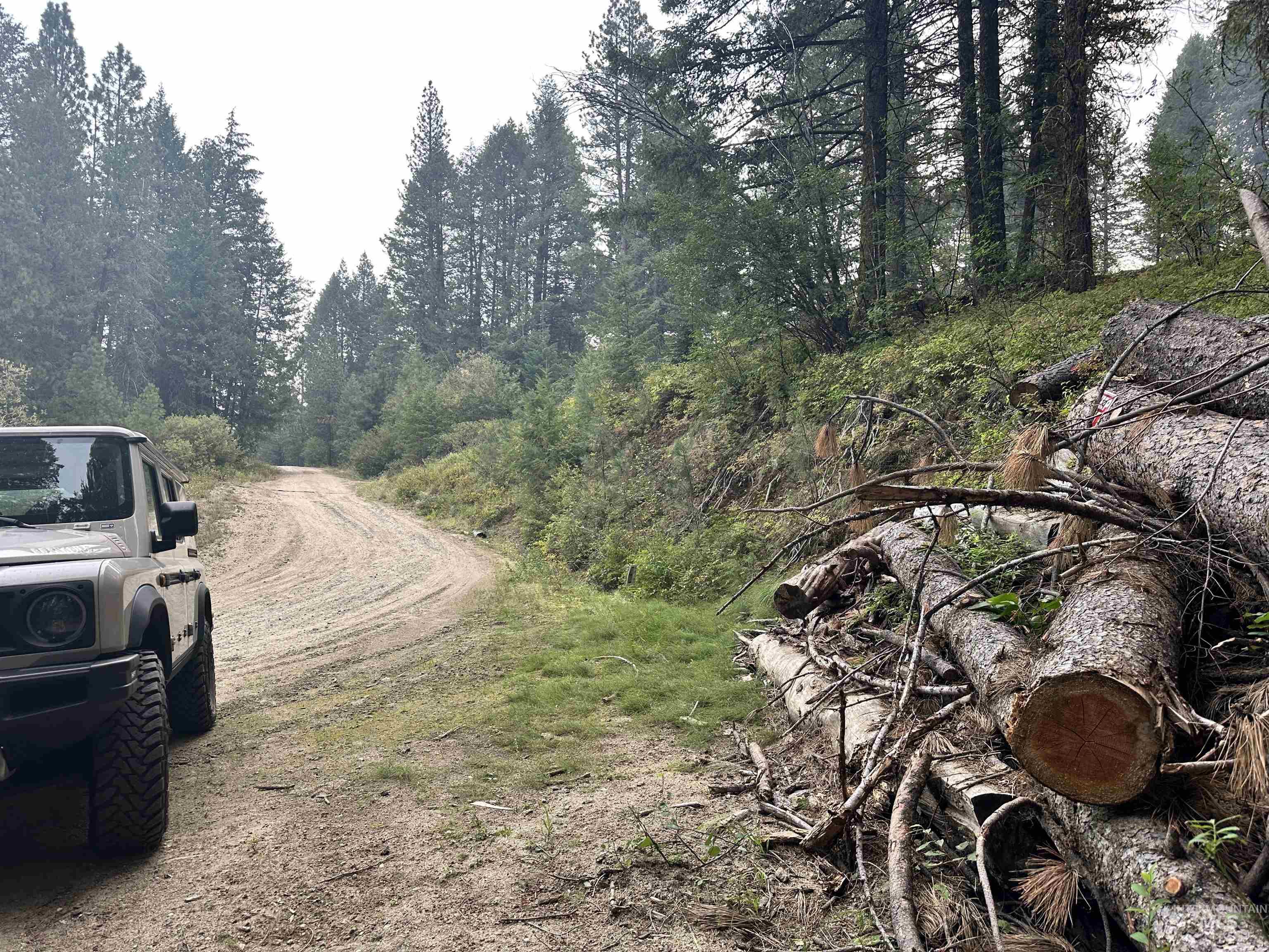 515 Collier View, Cascade, Idaho 83611, Land For Sale, Price $89,000,MLS 98978971