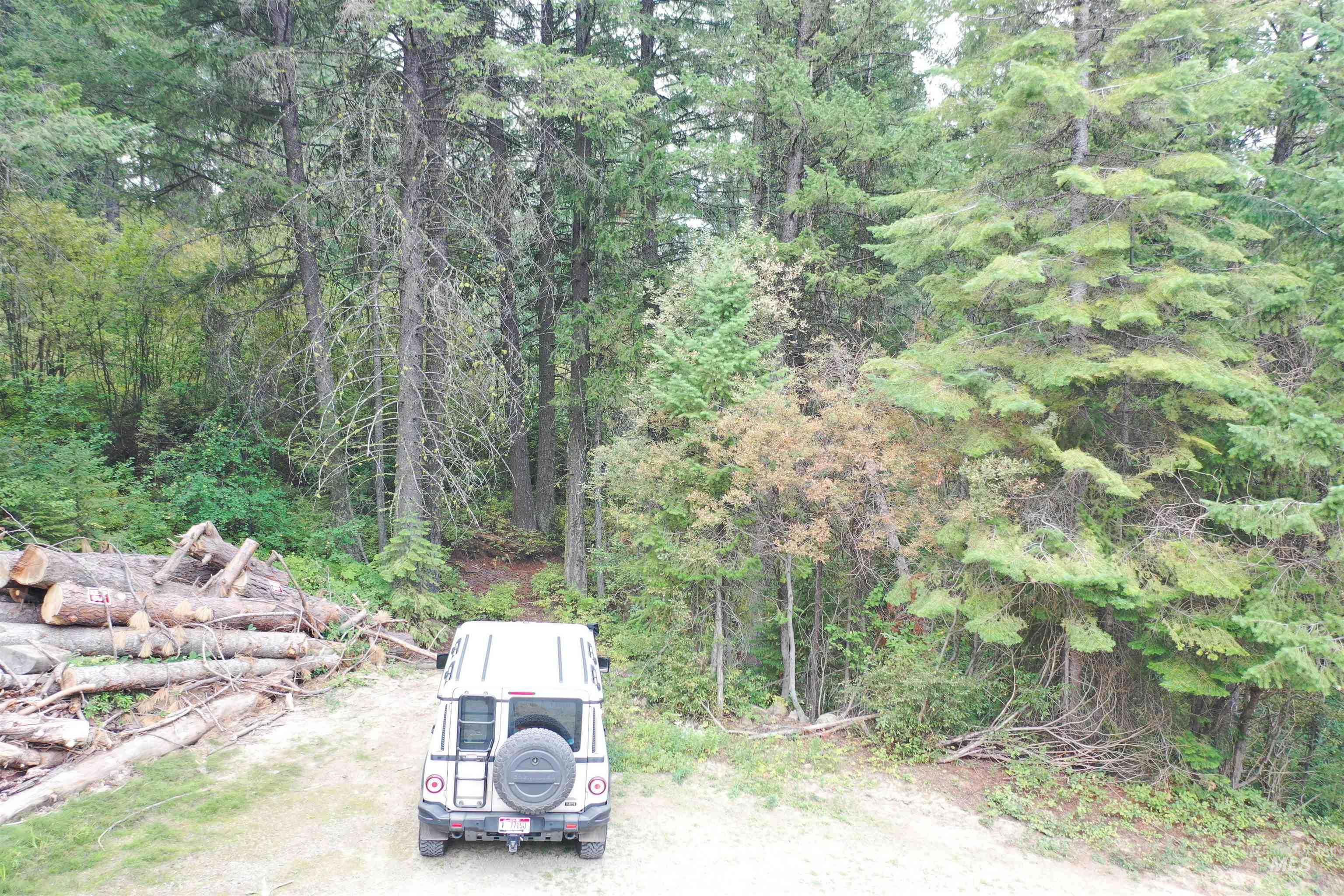 515 Collier View, Cascade, Idaho 83611, Land For Sale, Price $89,000,MLS 98978971