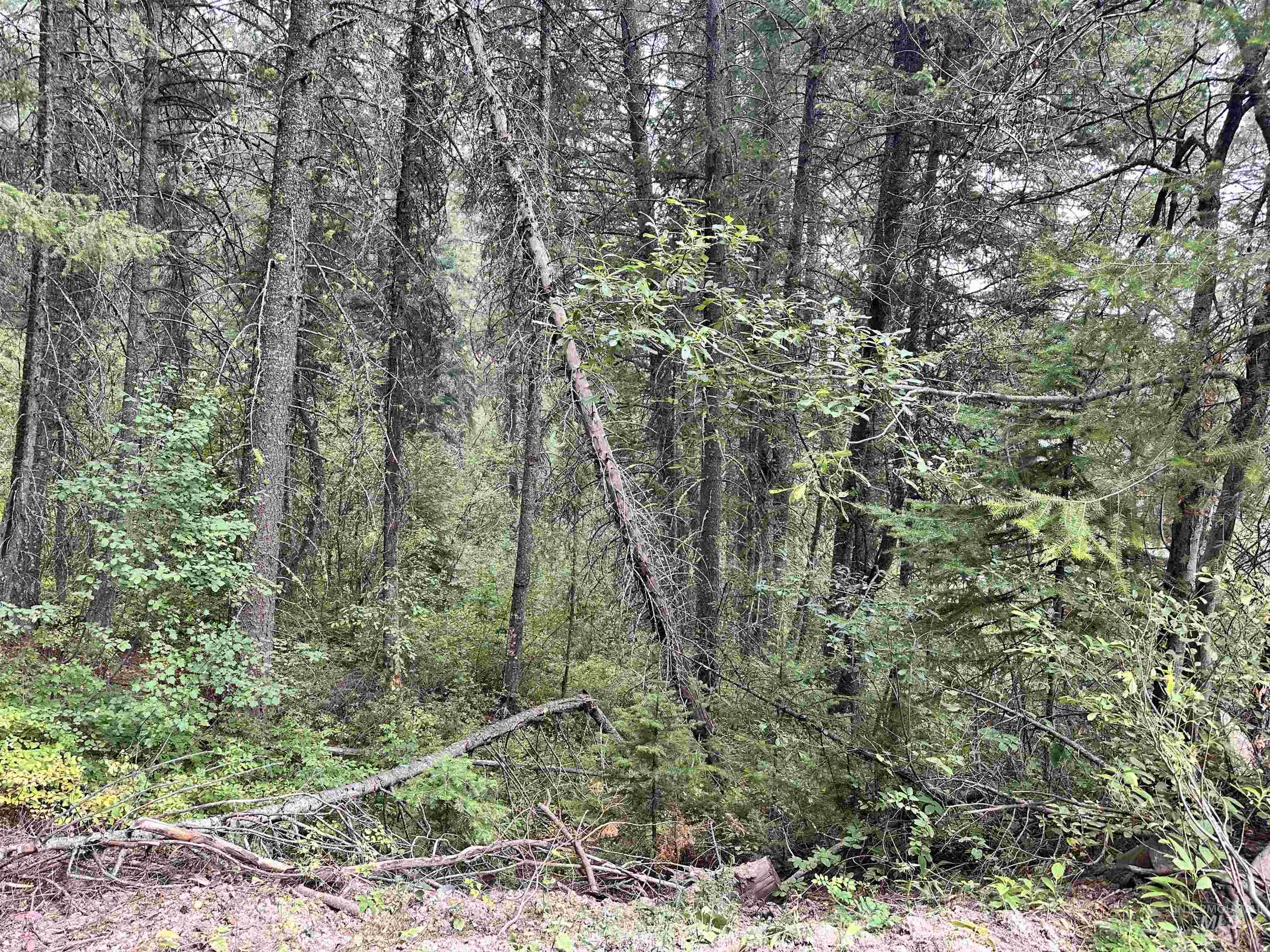 515 Collier View, Cascade, Idaho 83611, Land For Sale, Price $89,000,MLS 98978971