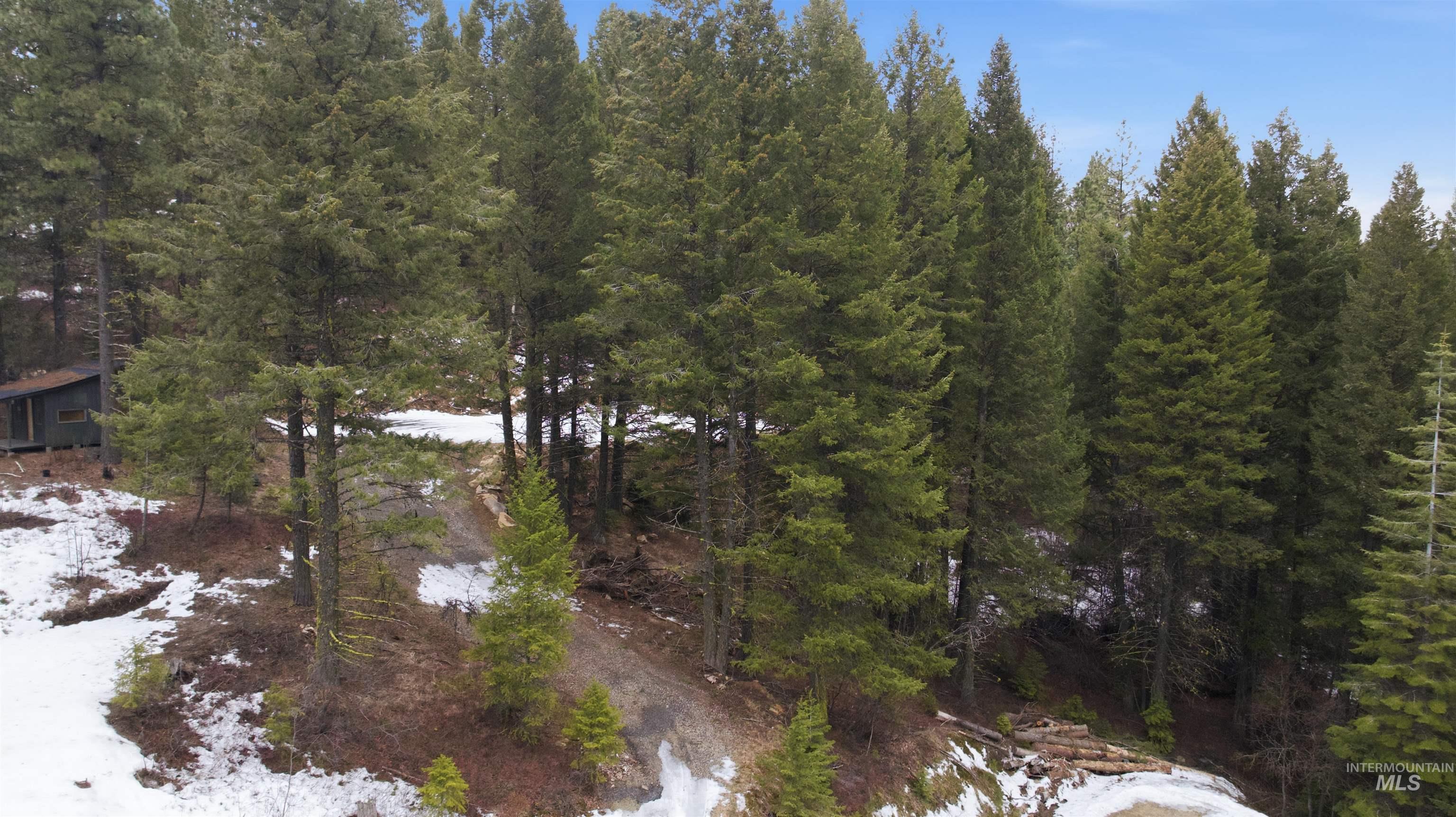 515 Collier View, Cascade, Idaho 83611, Land For Sale, Price $89,000,MLS 98978971