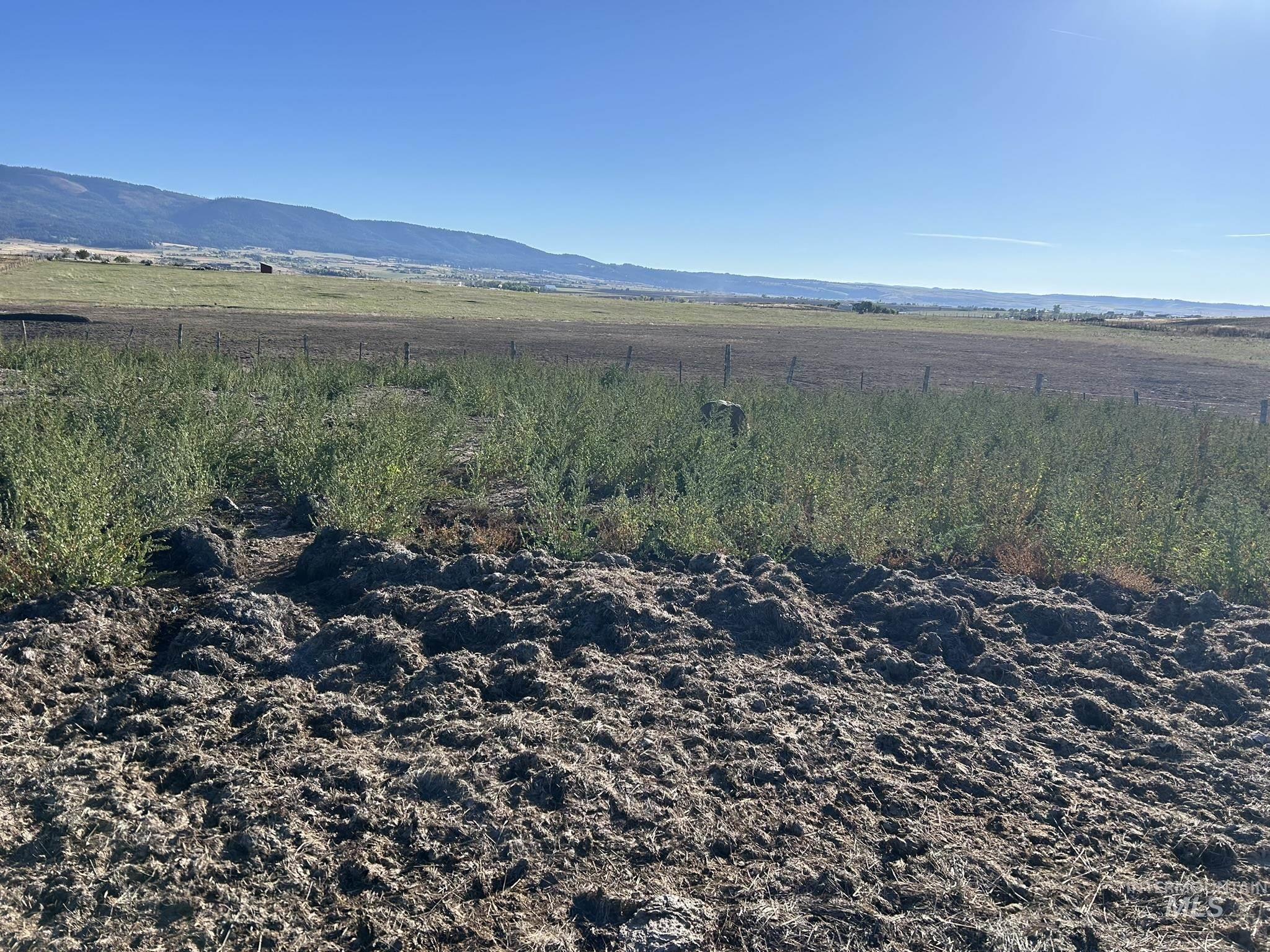 TBD Day Road, Grangeville, Idaho 83530, Land For Sale, Price $400,000,MLS 98978973