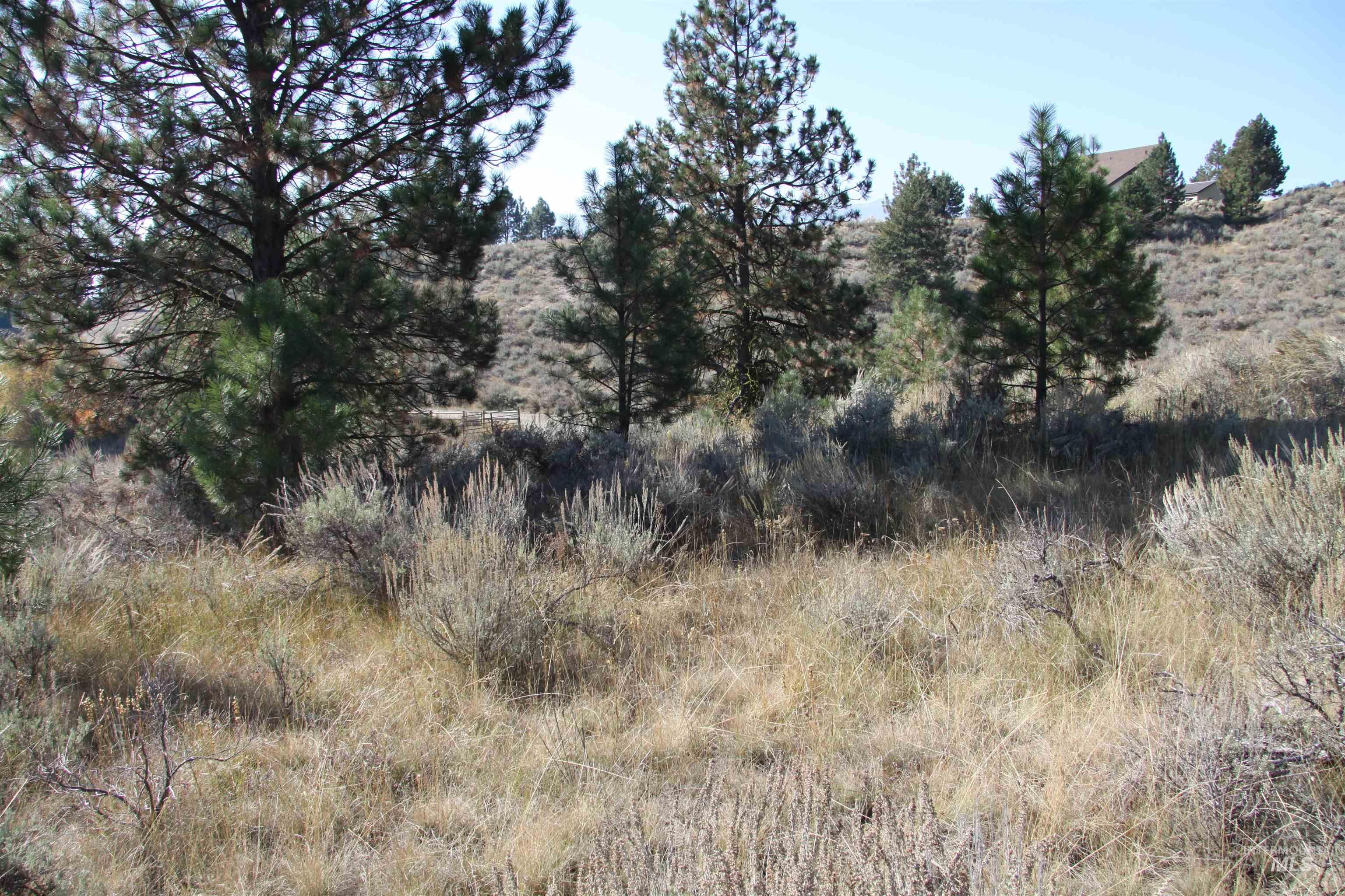 41 Vista Point Loop, Cascade, Idaho 83611, Land For Sale, Price $319,000,MLS 98978988