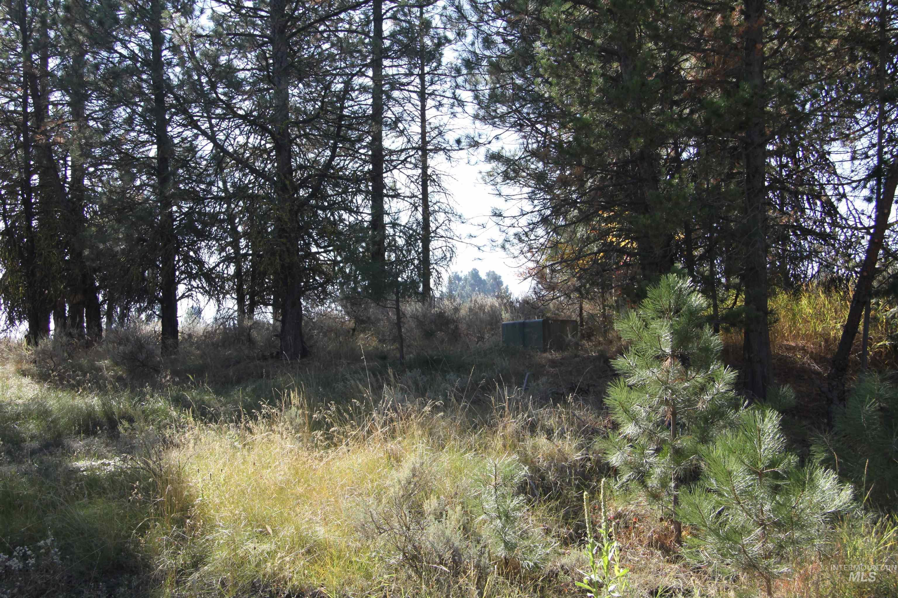 41 Vista Point Loop, Cascade, Idaho 83611, Land For Sale, Price $319,000,MLS 98978988