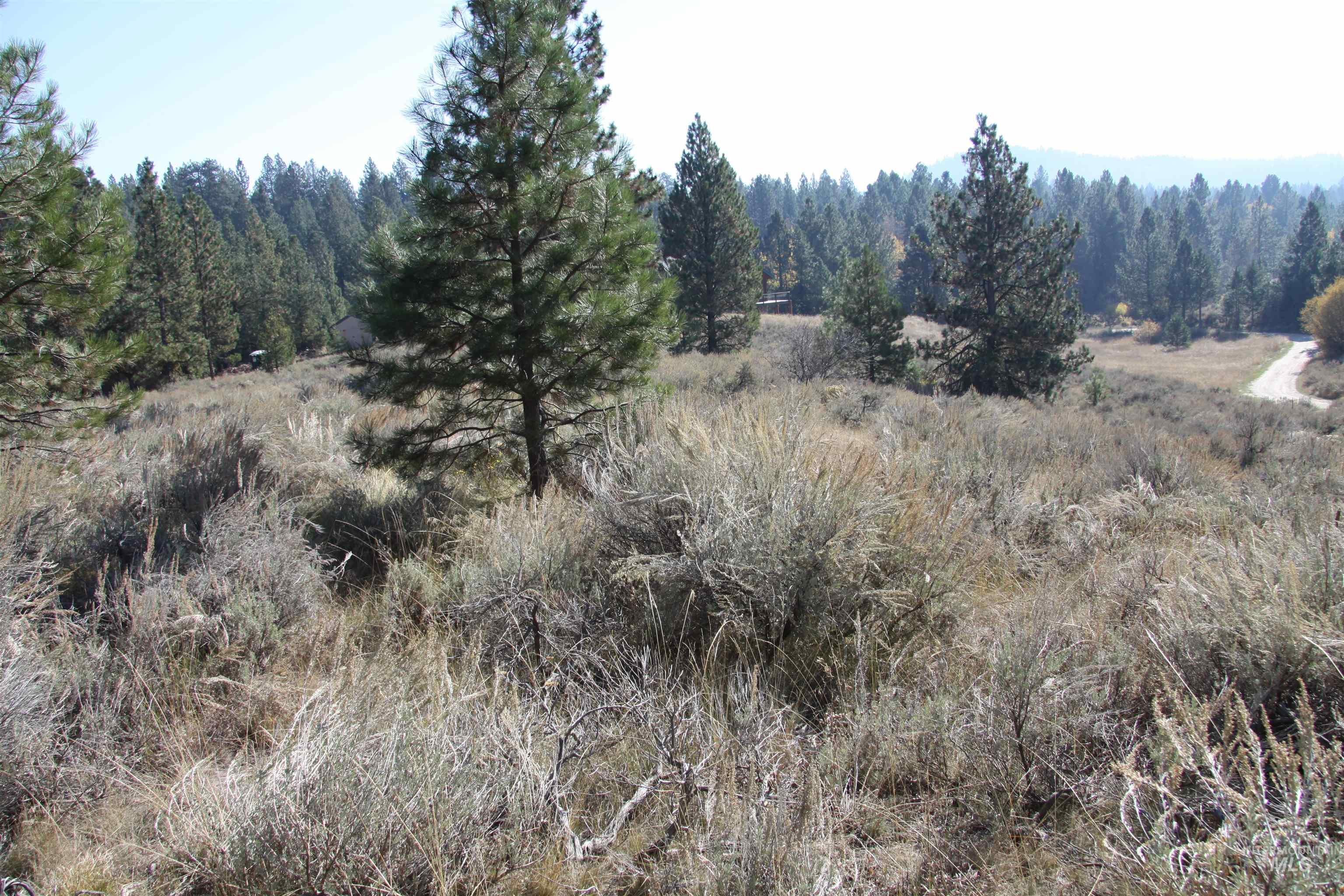 41 Vista Point Loop, Cascade, Idaho 83611, Land For Sale, Price $319,000,MLS 98978988