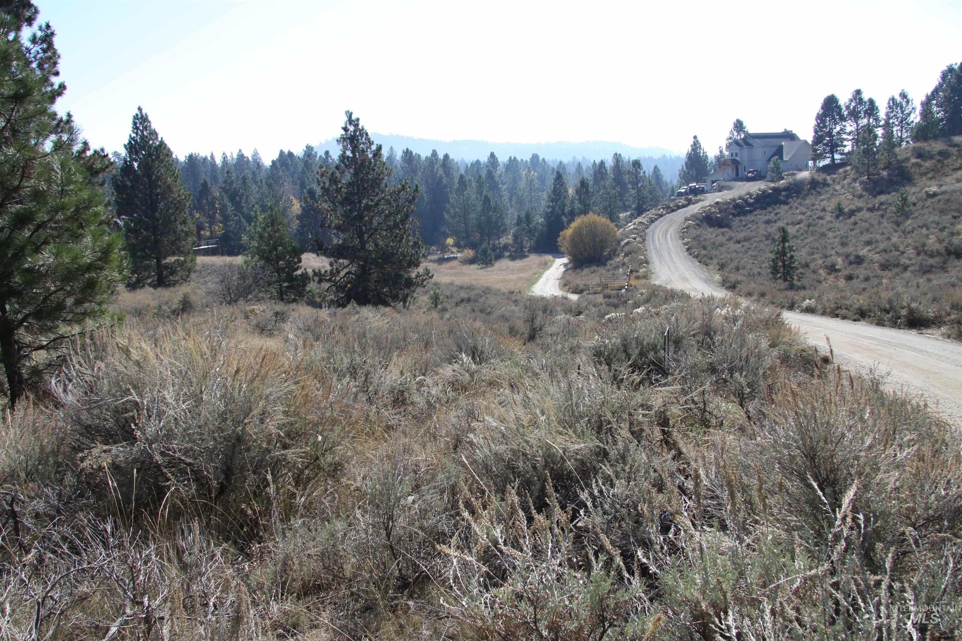 41 Vista Point Loop, Cascade, Idaho 83611, Land For Sale, Price $319,000,MLS 98978988