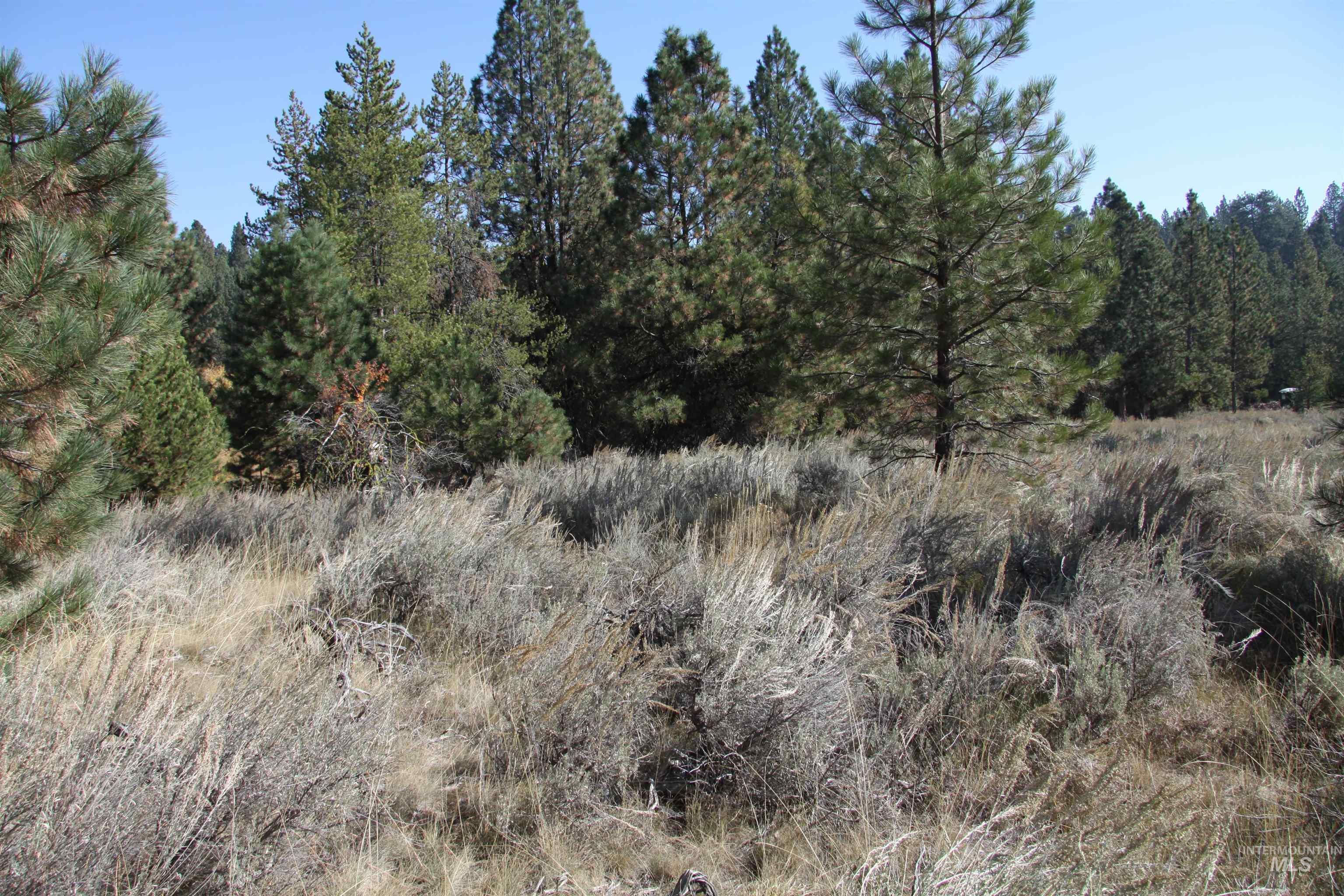 41 Vista Point Loop, Cascade, Idaho 83611, Land For Sale, Price $319,000,MLS 98978988