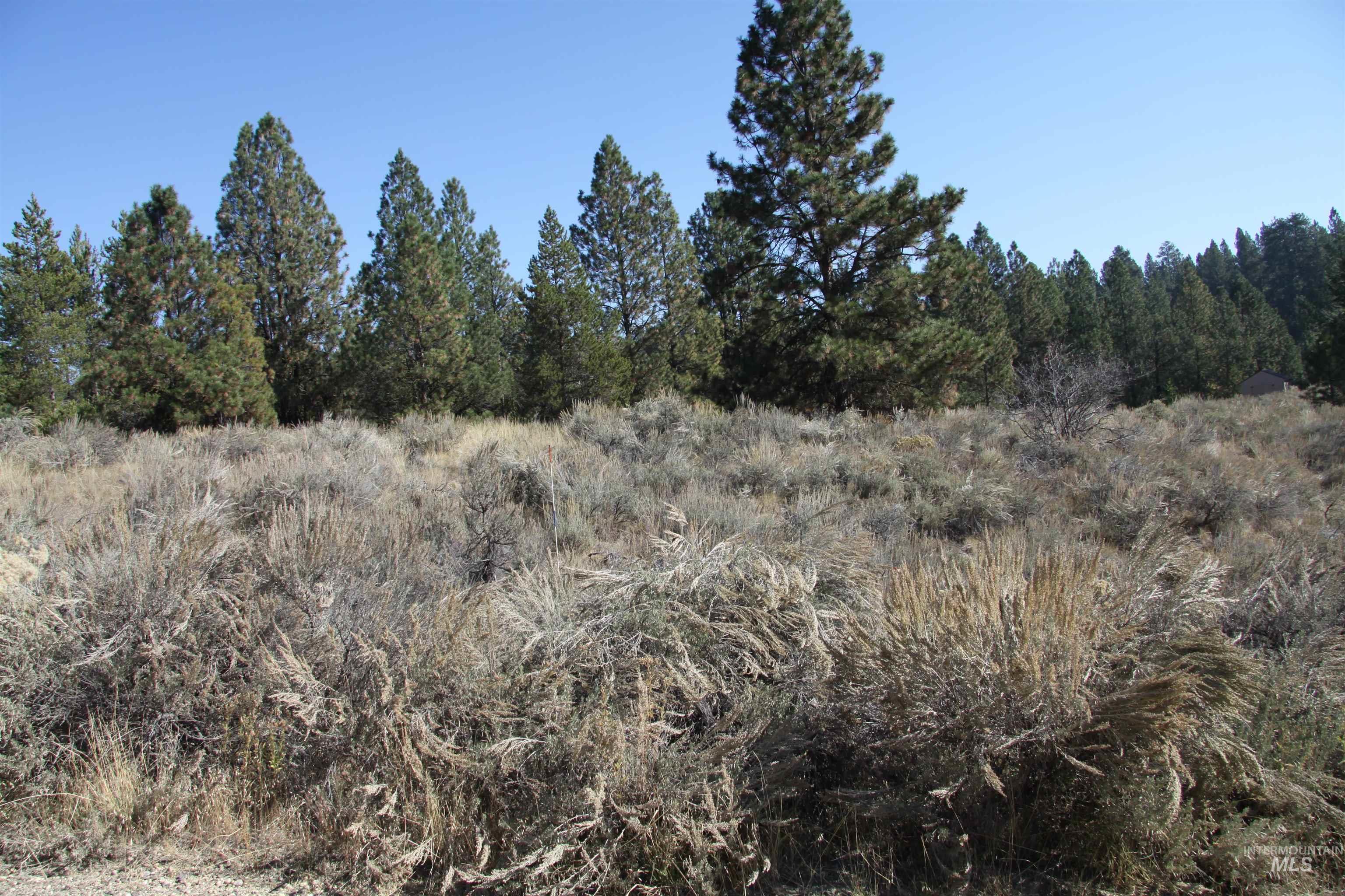 41 Vista Point Loop, Cascade, Idaho 83611, Land For Sale, Price $319,000,MLS 98978988