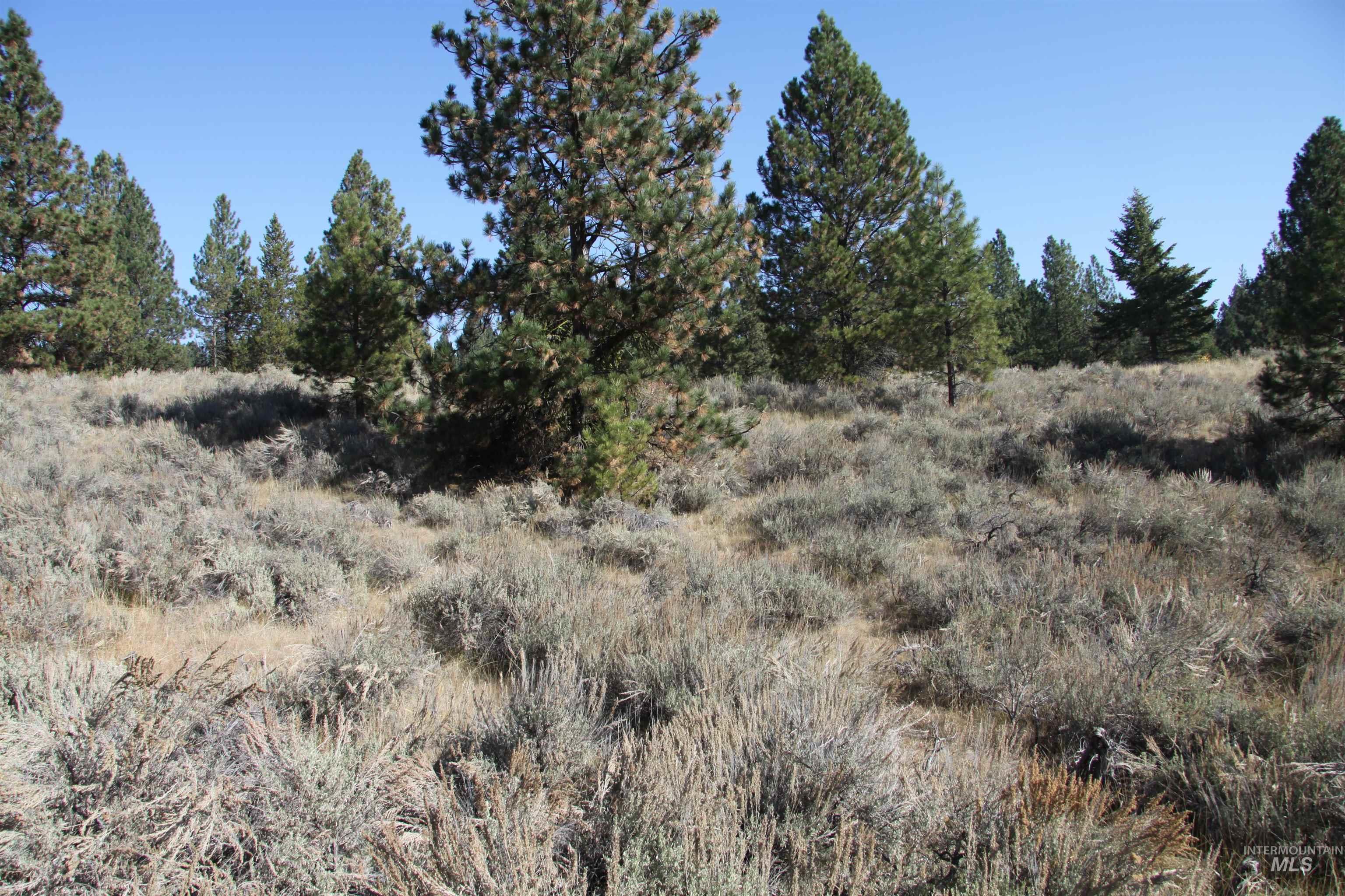41 Vista Point Loop, Cascade, Idaho 83611, Land For Sale, Price $319,000,MLS 98978988