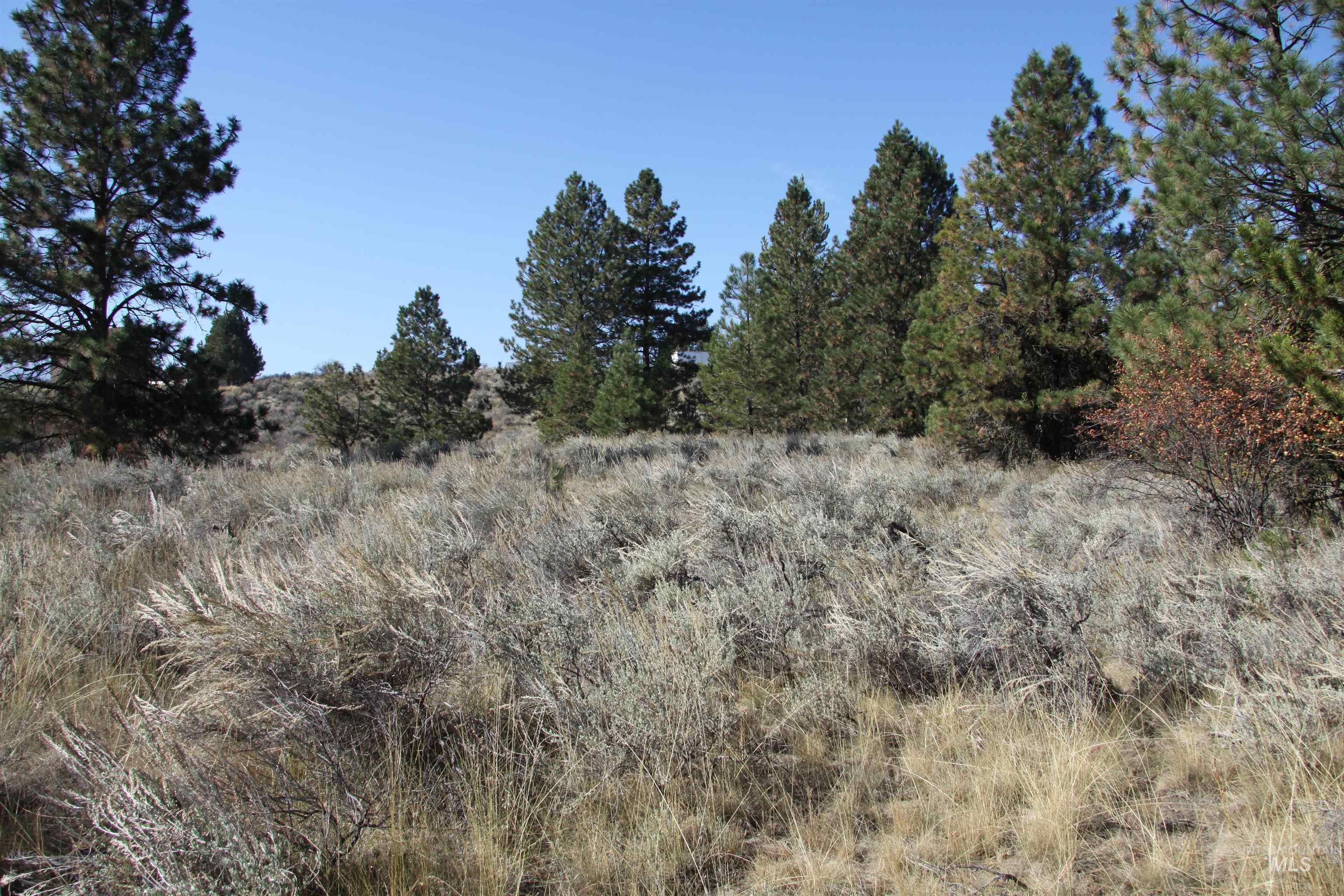 41 Vista Point Loop, Cascade, Idaho 83611, Land For Sale, Price $319,000,MLS 98978988