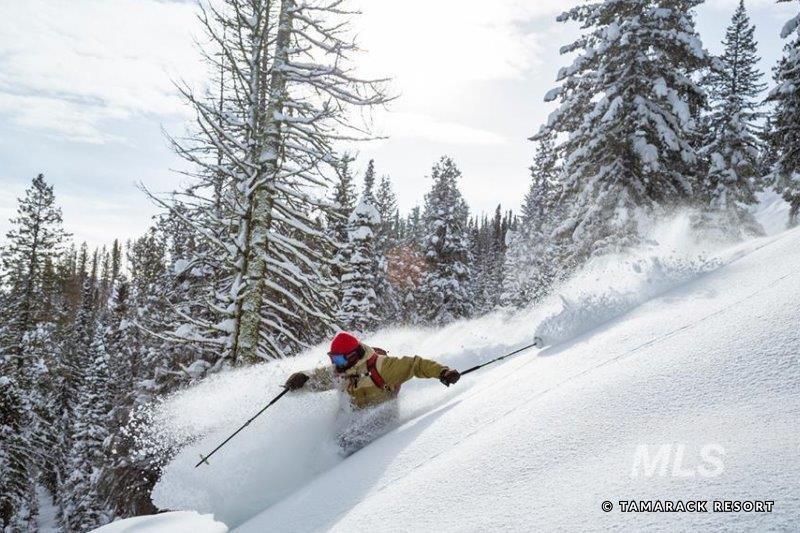 75 Arling Center, Donnelly, Idaho 83615, 1 Bathroom, Residential For Sale, Price $399,000,MLS 98978997