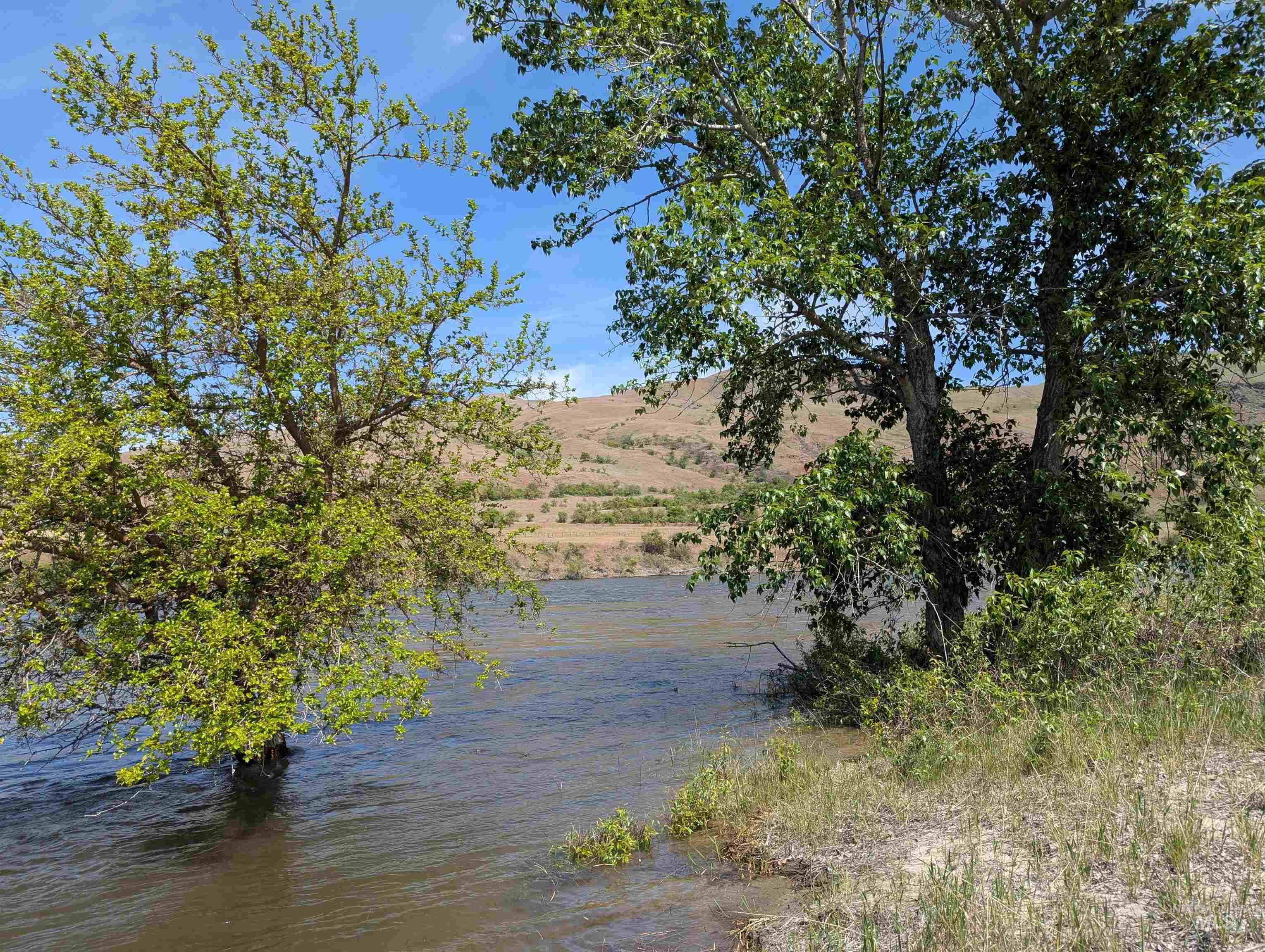 TBD River Bend Road, White Bird, Idaho 83354-8, Land For Sale, Price $1,295,000,MLS 98979027