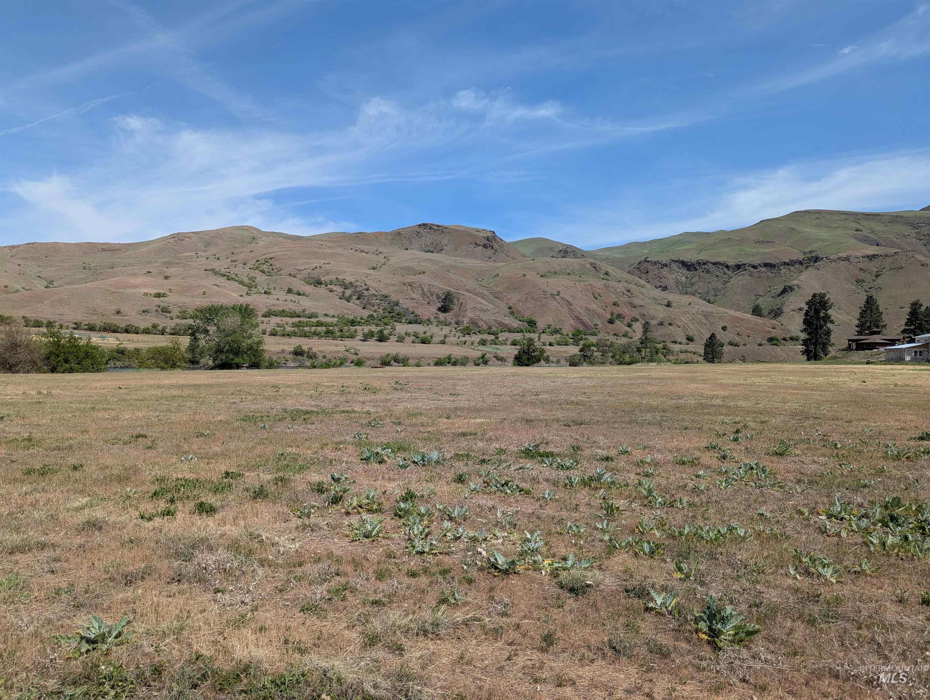 TBD River Bend Road, White Bird, Idaho 83354-8, Land For Sale, Price $1,295,000,MLS 98979027