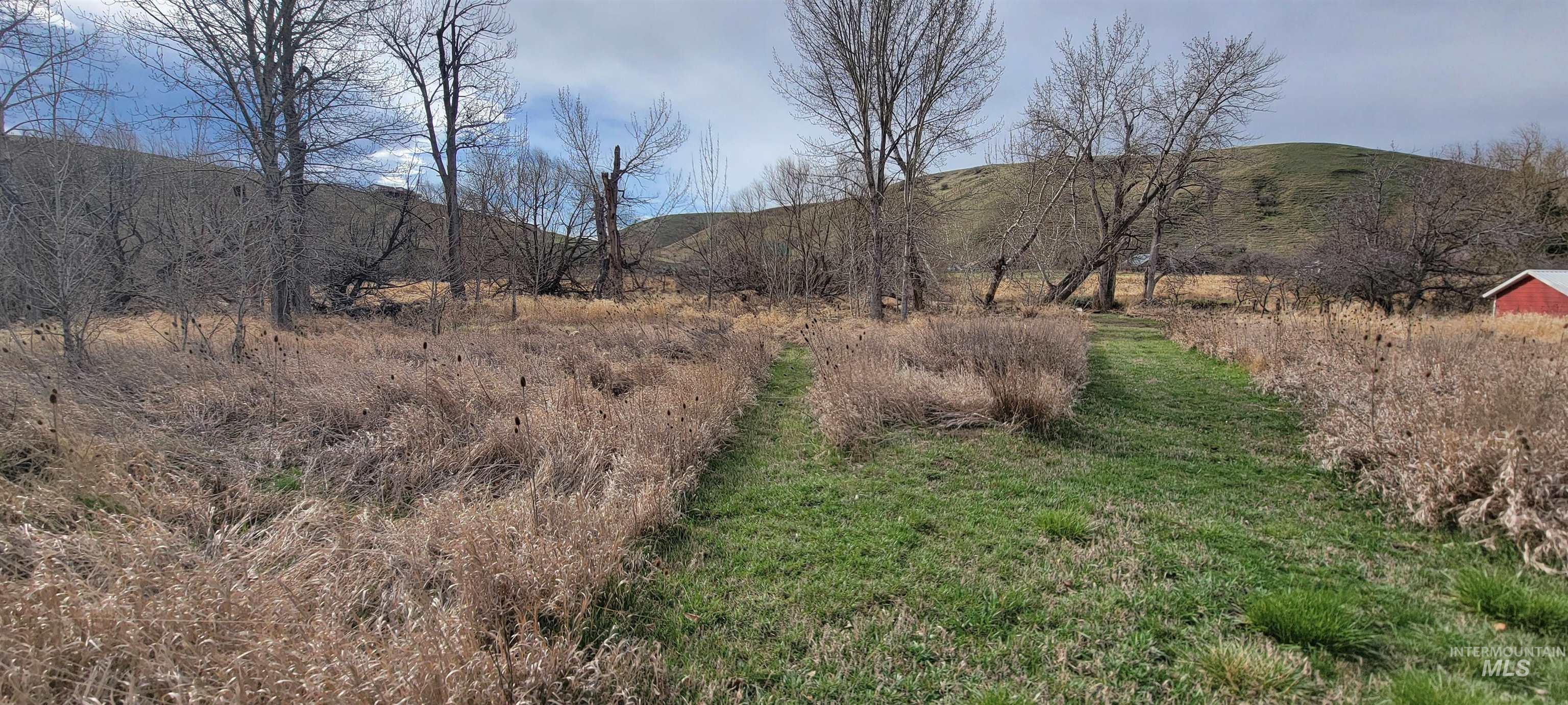 426 Hwy 12 E, Pomeroy, Washington 99347, 4 Bedrooms, 2 Bathrooms, Residential For Sale, Price $395,000, 98979045