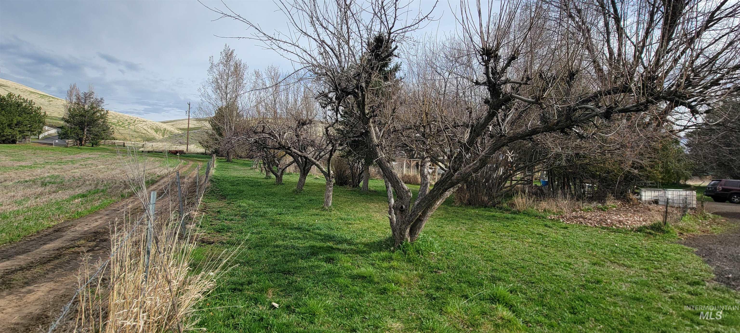 426 Hwy 12 E, Pomeroy, Washington 99347, 4 Bedrooms, 2 Bathrooms, Residential For Sale, Price $395,000, 98979045