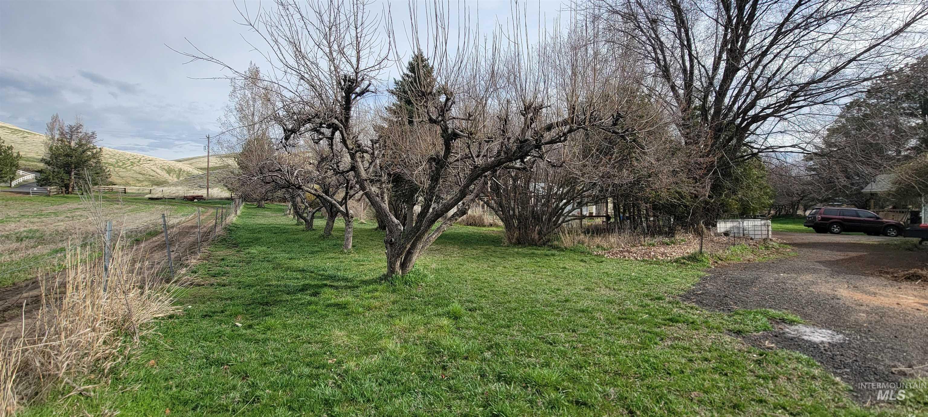 426 Hwy 12 E, Pomeroy, Washington 99347, 4 Bedrooms, 2 Bathrooms, Residential For Sale, Price $395,000,MLS 98979045