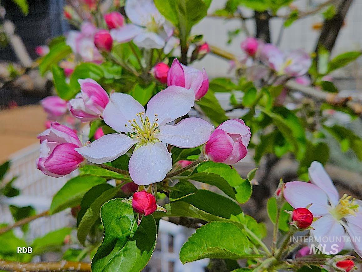 1352 S Main Street, Riggins, Idaho 83549, 6 Bedrooms, 5 Bathrooms, Residential For Sale, Price $1,000,000, 98979051