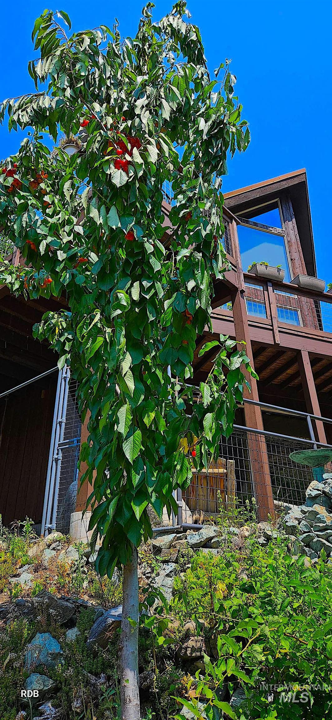 1352 S Main Street, Riggins, Idaho 83549, 6 Bedrooms, 5 Bathrooms, Residential For Sale, Price $1,000,000, 98979051