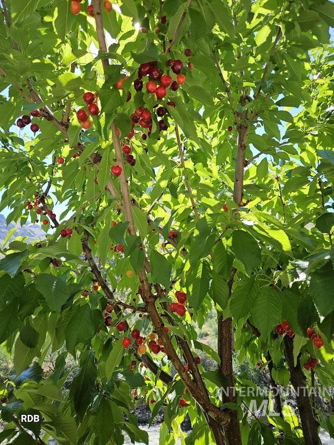 1352 S Main Street, Riggins, Idaho 83549, 6 Bedrooms, 5 Bathrooms, Residential For Sale, Price $1,000,000, 98979051