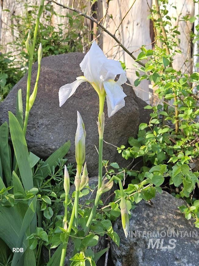 1352 S Main Street, Riggins, Idaho 83549, 6 Bedrooms, 5 Bathrooms, Residential For Sale, Price $1,000,000, 98979051