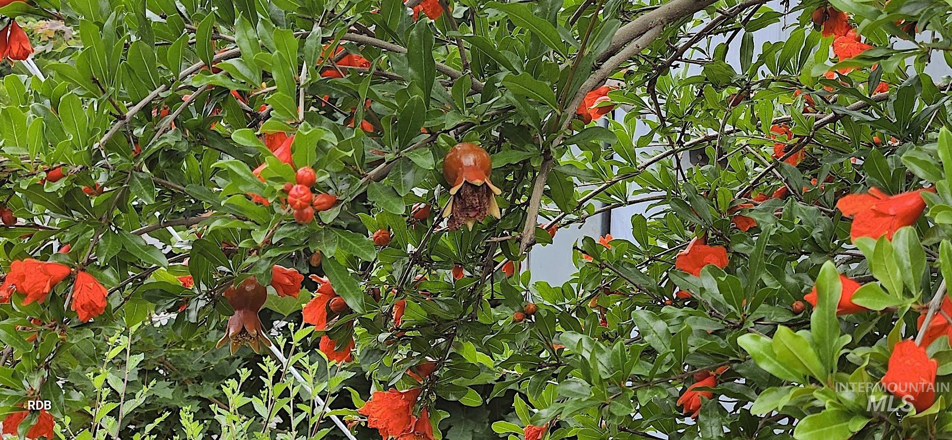 1352 S Main Street, Riggins, Idaho 83549, 6 Bedrooms, 5 Bathrooms, Residential For Sale, Price $1,000,000, 98979051