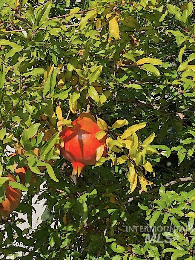 1352 S Main Street, Riggins, Idaho 83549, 6 Bedrooms, 5 Bathrooms, Residential For Sale, Price $1,000,000, 98979051