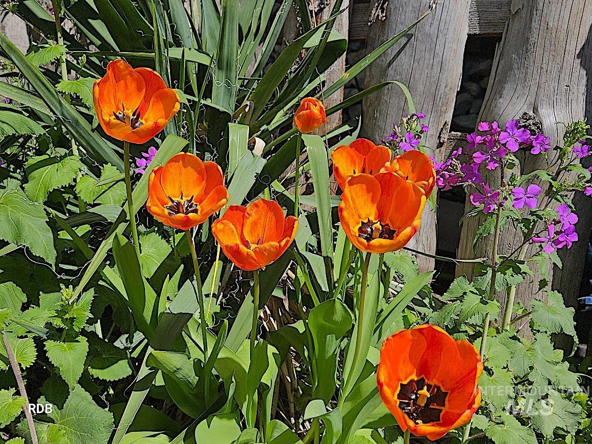 1352 S Main Street, Riggins, Idaho 83549, 6 Bedrooms, 5 Bathrooms, Residential For Sale, Price $1,000,000, 98979051