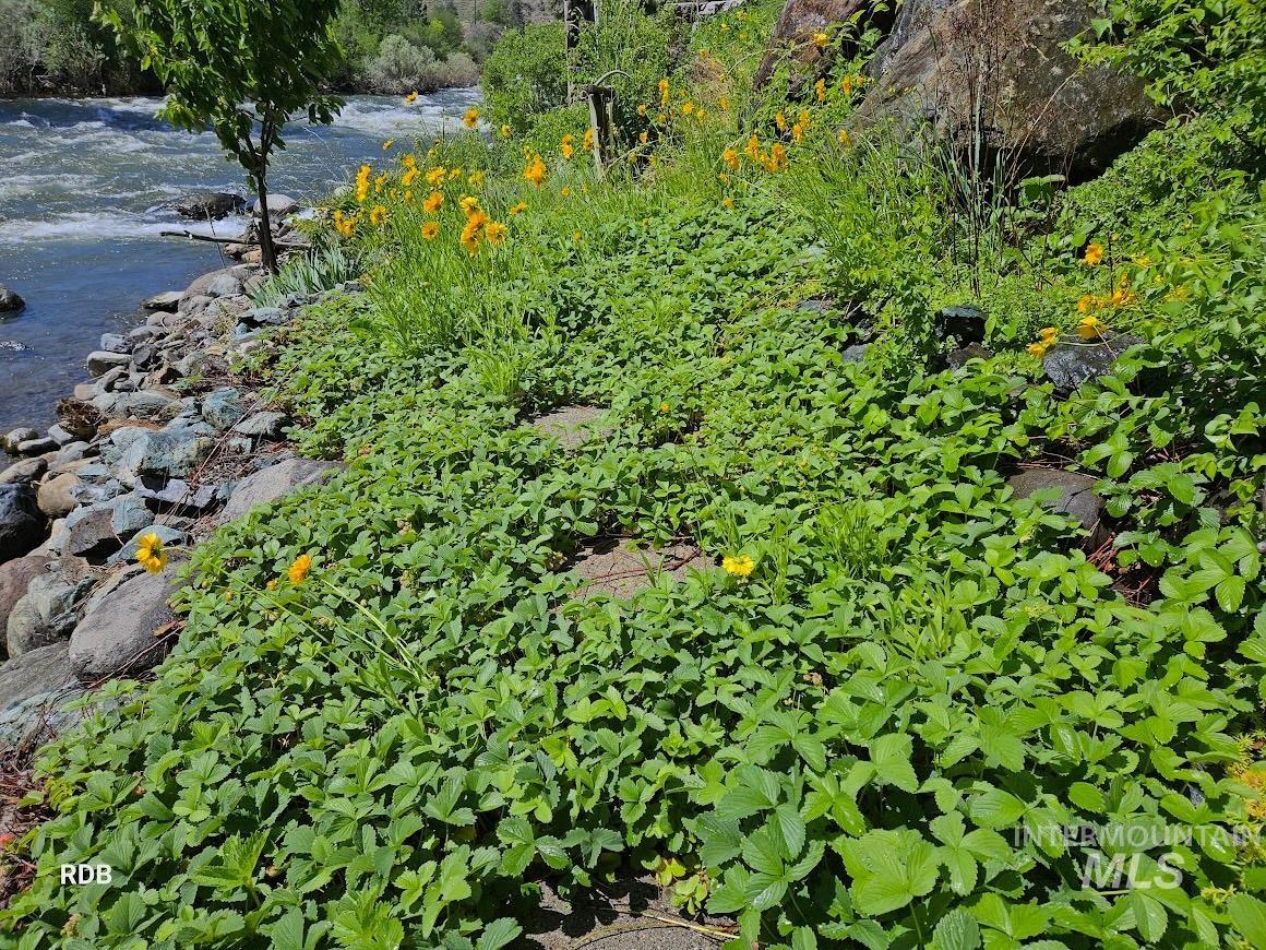 1352 S Main Street, Riggins, Idaho 83549, 6 Bedrooms, 5 Bathrooms, Residential For Sale, Price $1,000,000, 98979051