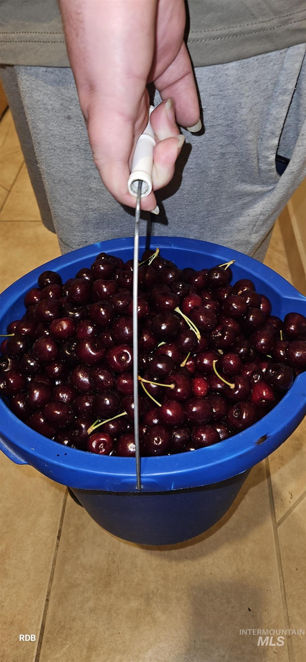 1352 S Main Street, Riggins, Idaho 83549, 6 Bedrooms, 5 Bathrooms, Residential For Sale, Price $1,000,000, 98979051