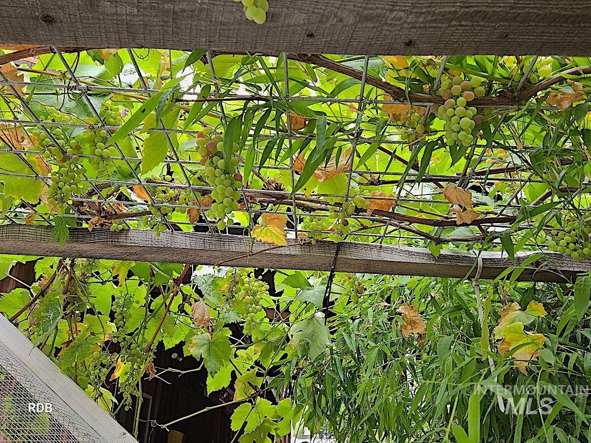 1352 S Main Street, Riggins, Idaho 83549, 6 Bedrooms, 5 Bathrooms, Residential For Sale, Price $1,000,000,MLS 98979051