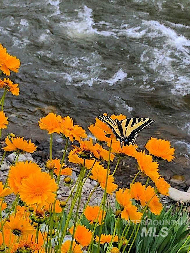 1352 S Main Street, Riggins, Idaho 83549, 6 Bedrooms, 5 Bathrooms, Residential For Sale, Price $1,000,000,MLS 98979051