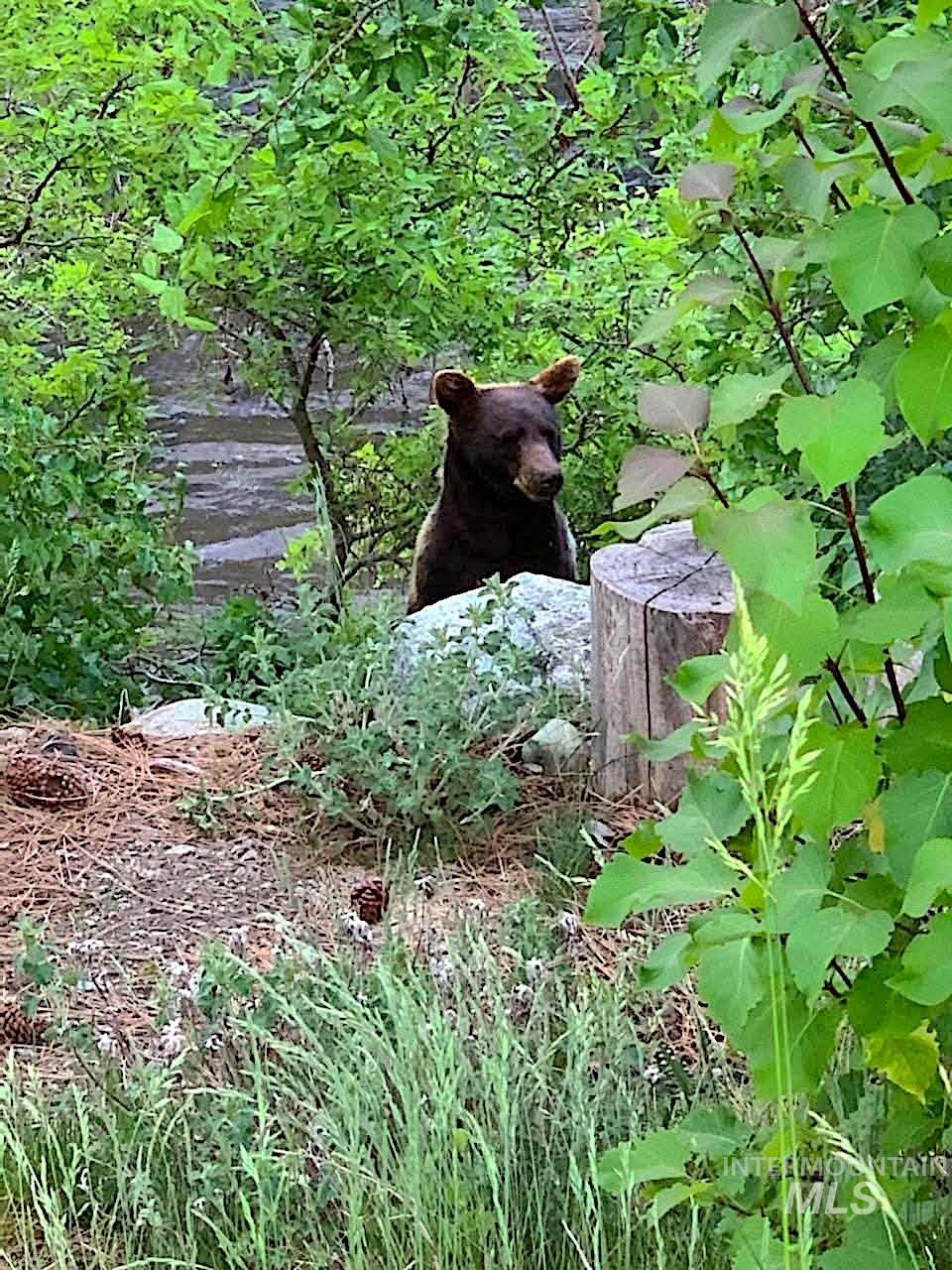 1352 S Main Street, Riggins, Idaho 83549, 6 Bedrooms, 5 Bathrooms, Residential For Sale, Price $1,000,000, 98979051