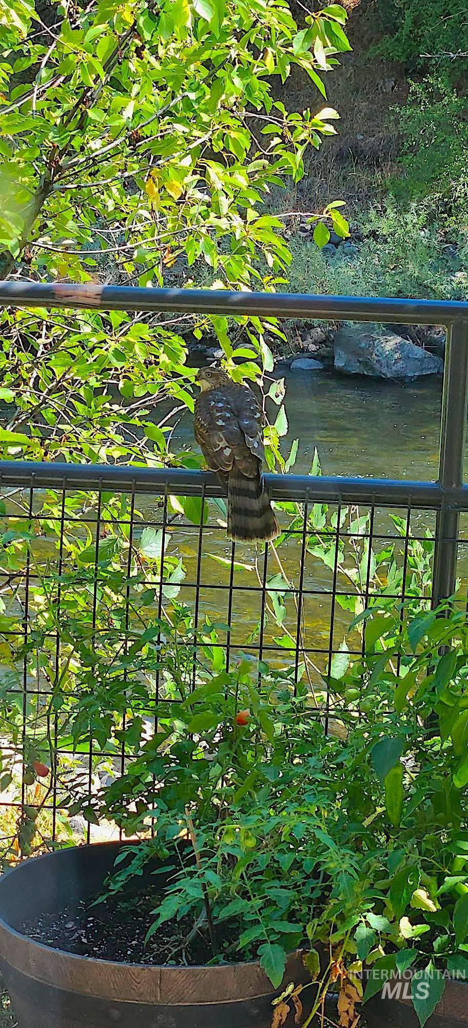 1352 S Main Street, Riggins, Idaho 83549, 6 Bedrooms, 5 Bathrooms, Residential For Sale, Price $1,000,000, 98979051