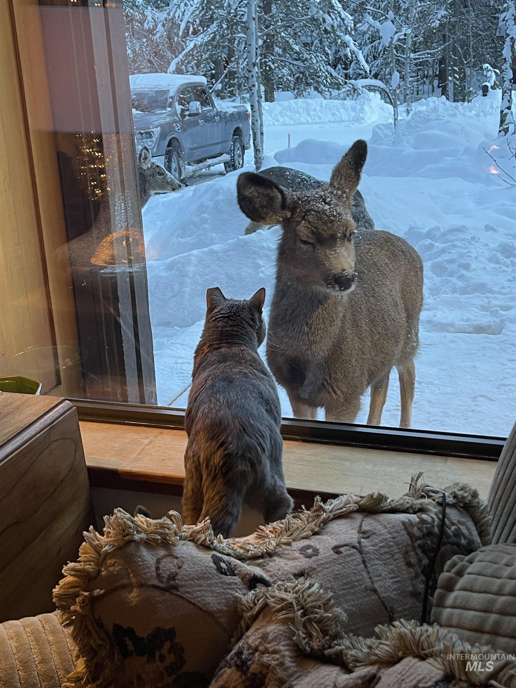 306 Rio Vista Blvd, McCall, Idaho 83638, 3 Bedrooms, 1.5 Bathrooms, Residential For Sale, Price $779,000, 98979052