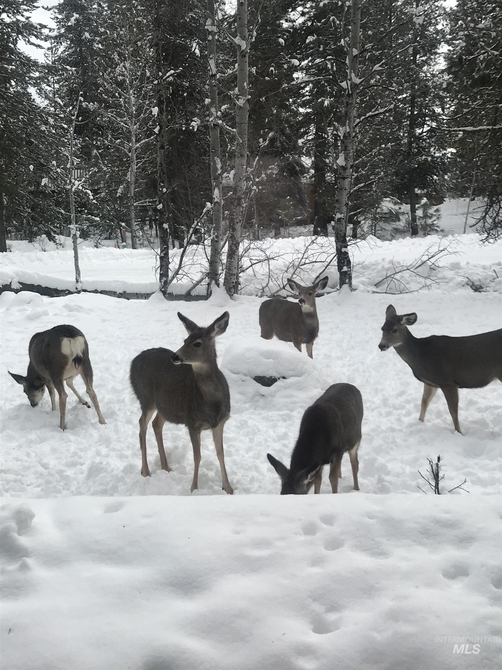 306 Rio Vista Blvd, McCall, Idaho 83638, 3 Bedrooms, 1.5 Bathrooms, Residential For Sale, Price $745,000,MLS 98979052