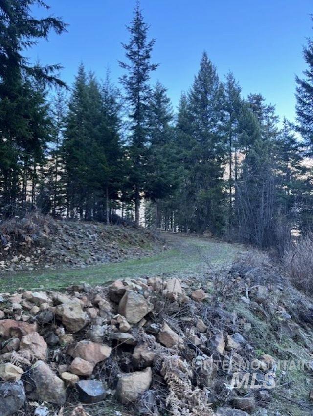 1139 Ove Creek Ln, Orofino, Idaho 83544, 2 Bedrooms, 1.5 Bathrooms, Residential For Sale, Price $699,000, 98979060