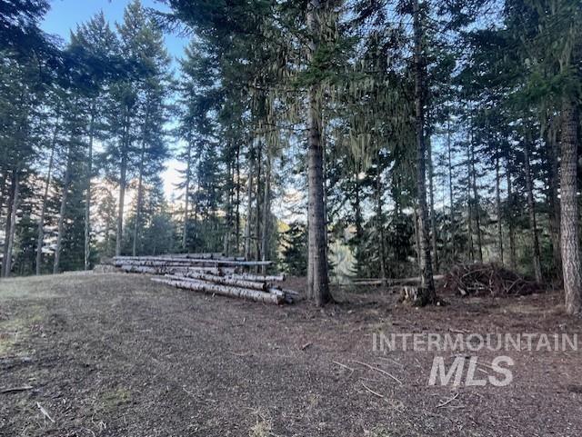 1139 Ove Creek Ln, Orofino, Idaho 83544, 2 Bedrooms, 1.5 Bathrooms, Residential For Sale, Price $699,000, 98979060