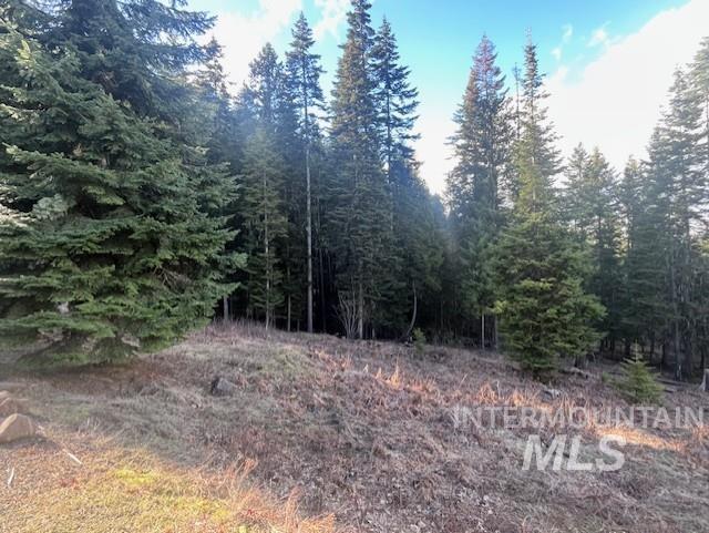 1139 Ove Creek Ln, Orofino, Idaho 83544, 2 Bedrooms, 1.5 Bathrooms, Residential For Sale, Price $699,000, 98979060