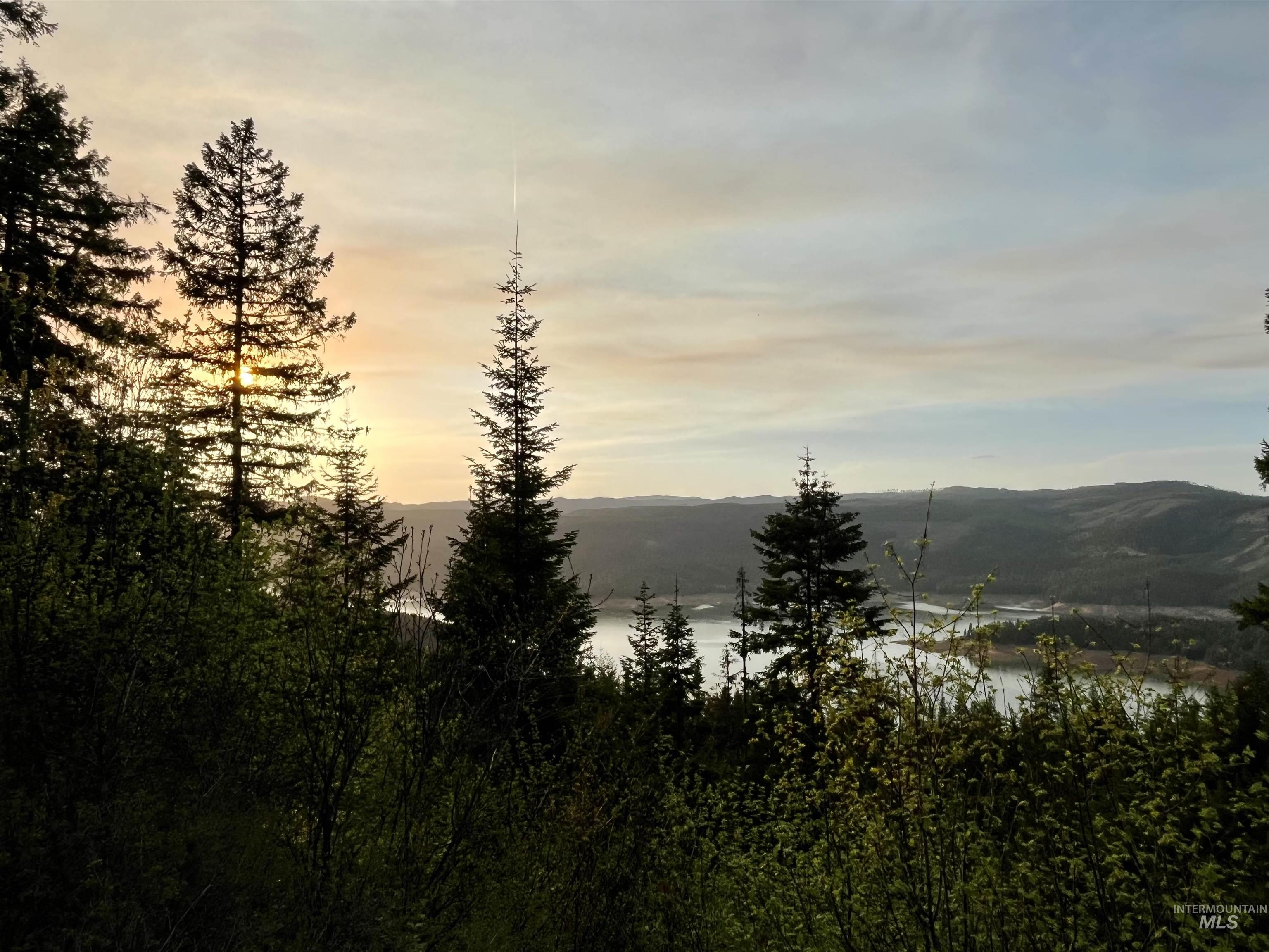 1139 Ove Creek Ln, Orofino, Idaho 83544, 2 Bedrooms, 1.5 Bathrooms, Residential For Sale, Price $699,000, 98979060