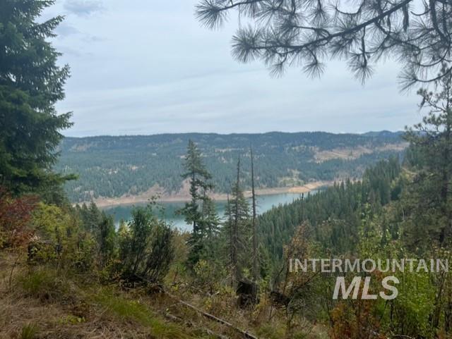 1139 Ove Creek Ln, Orofino, Idaho 83544, 2 Bedrooms, 1.5 Bathrooms, Residential For Sale, Price $699,000, 98979060