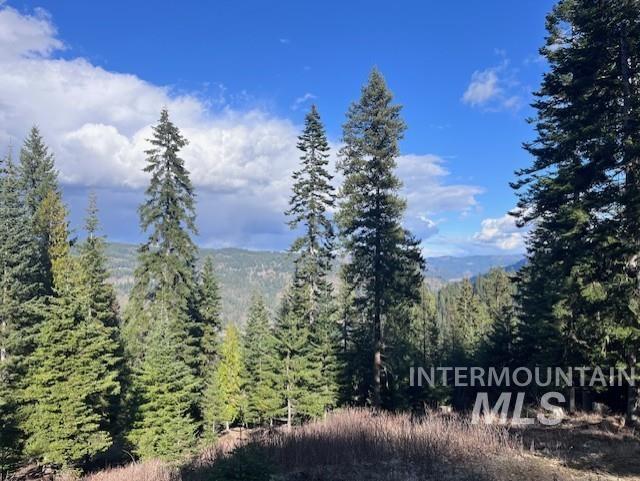 1139 Ove Creek Ln, Orofino, Idaho 83544, 2 Bedrooms, 1.5 Bathrooms, Residential For Sale, Price $699,000, 98979060