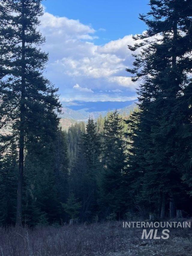 1139 Ove Creek Ln, Orofino, Idaho 83544, 2 Bedrooms, 1.5 Bathrooms, Residential For Sale, Price $699,000, 98979060