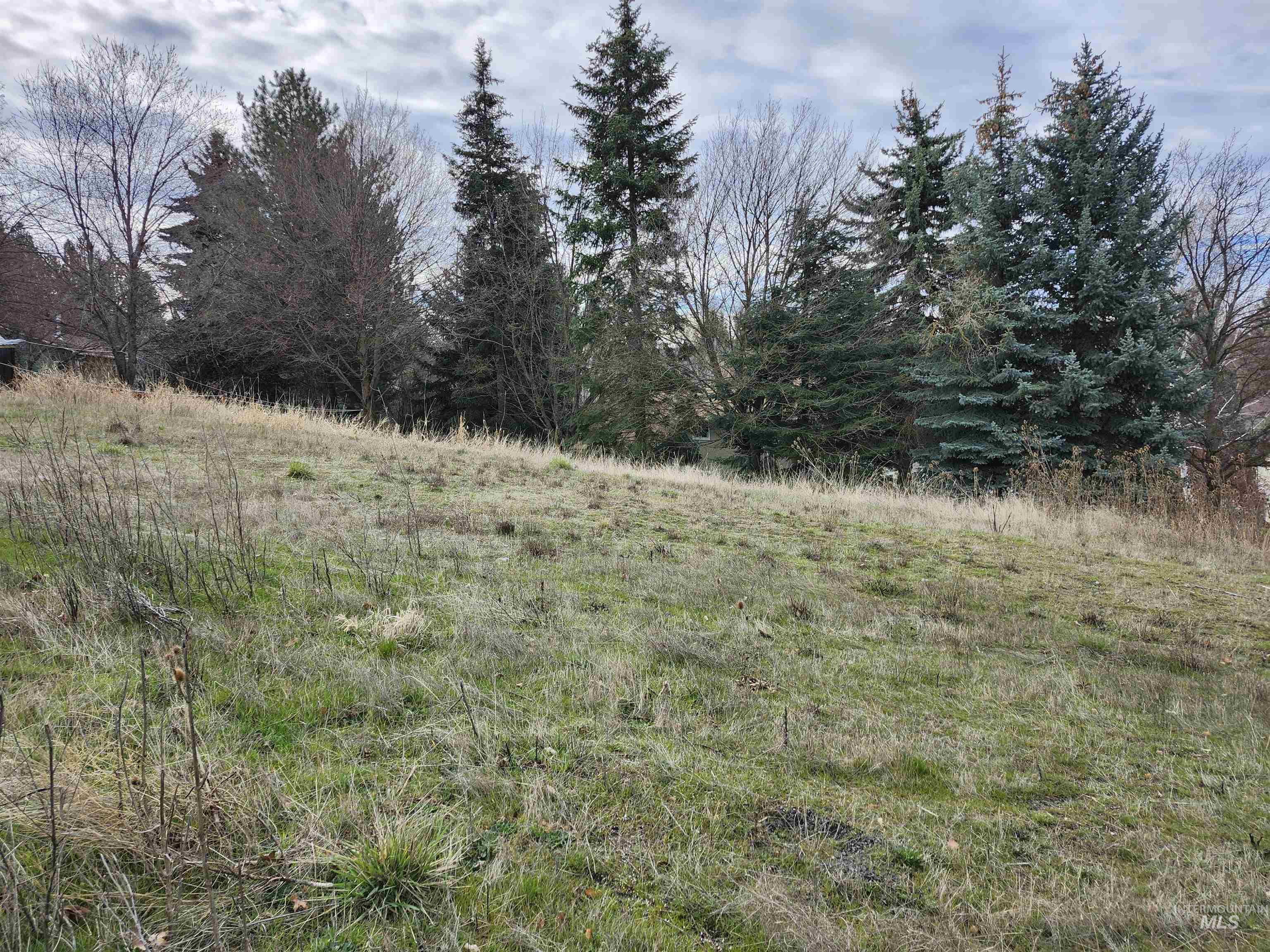 2129 West View Drive, Moscow, Idaho 83843, Land For Sale, Price $125,000,MLS 98979089