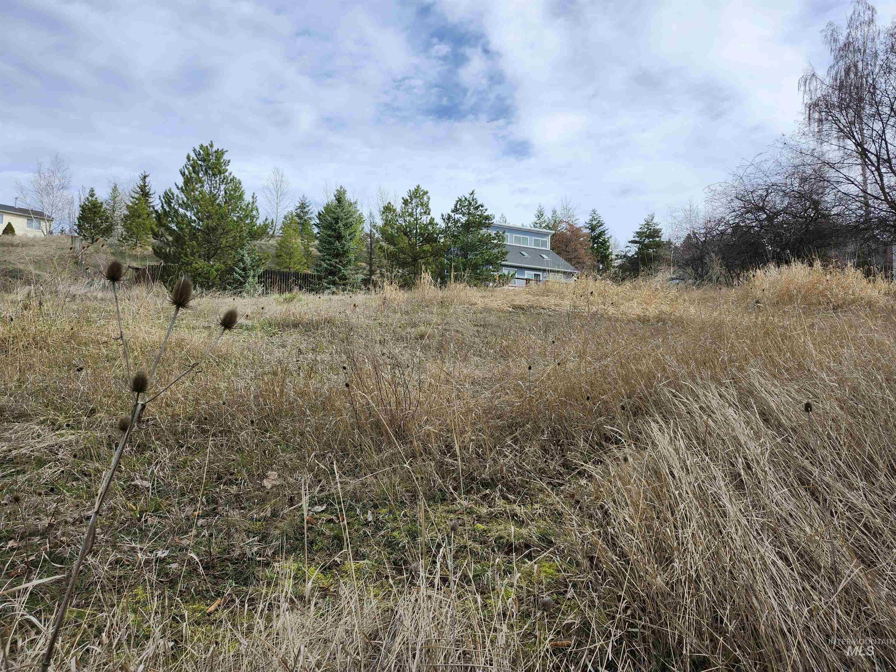 2129 West View Drive, Moscow, Idaho 83843, Land For Sale, Price $125,000,MLS 98979089
